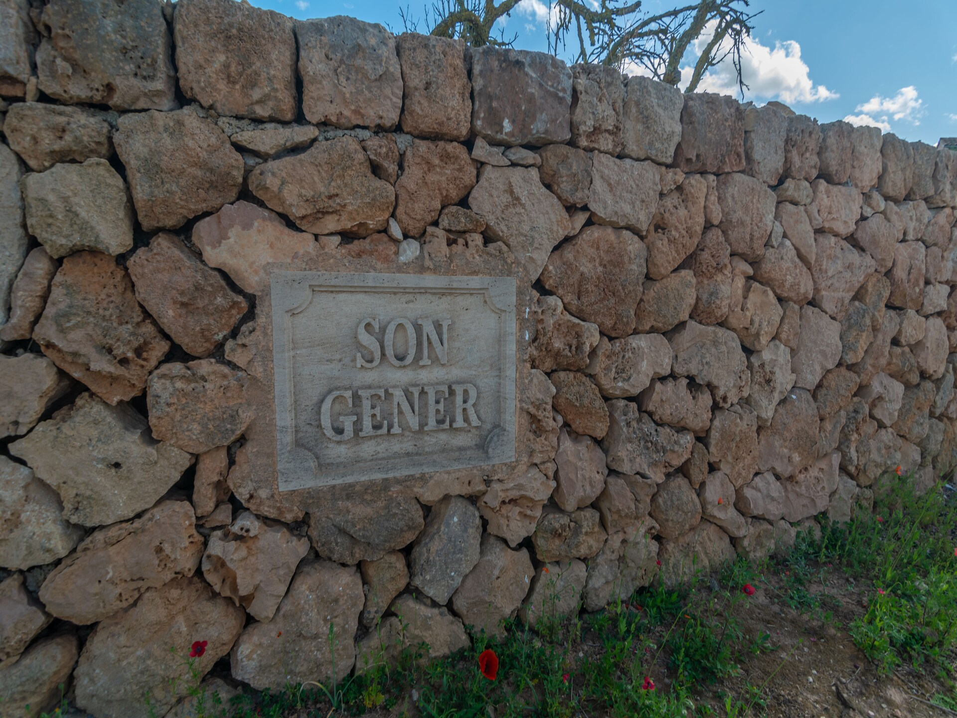 Son Gener (manacor) - foto 41