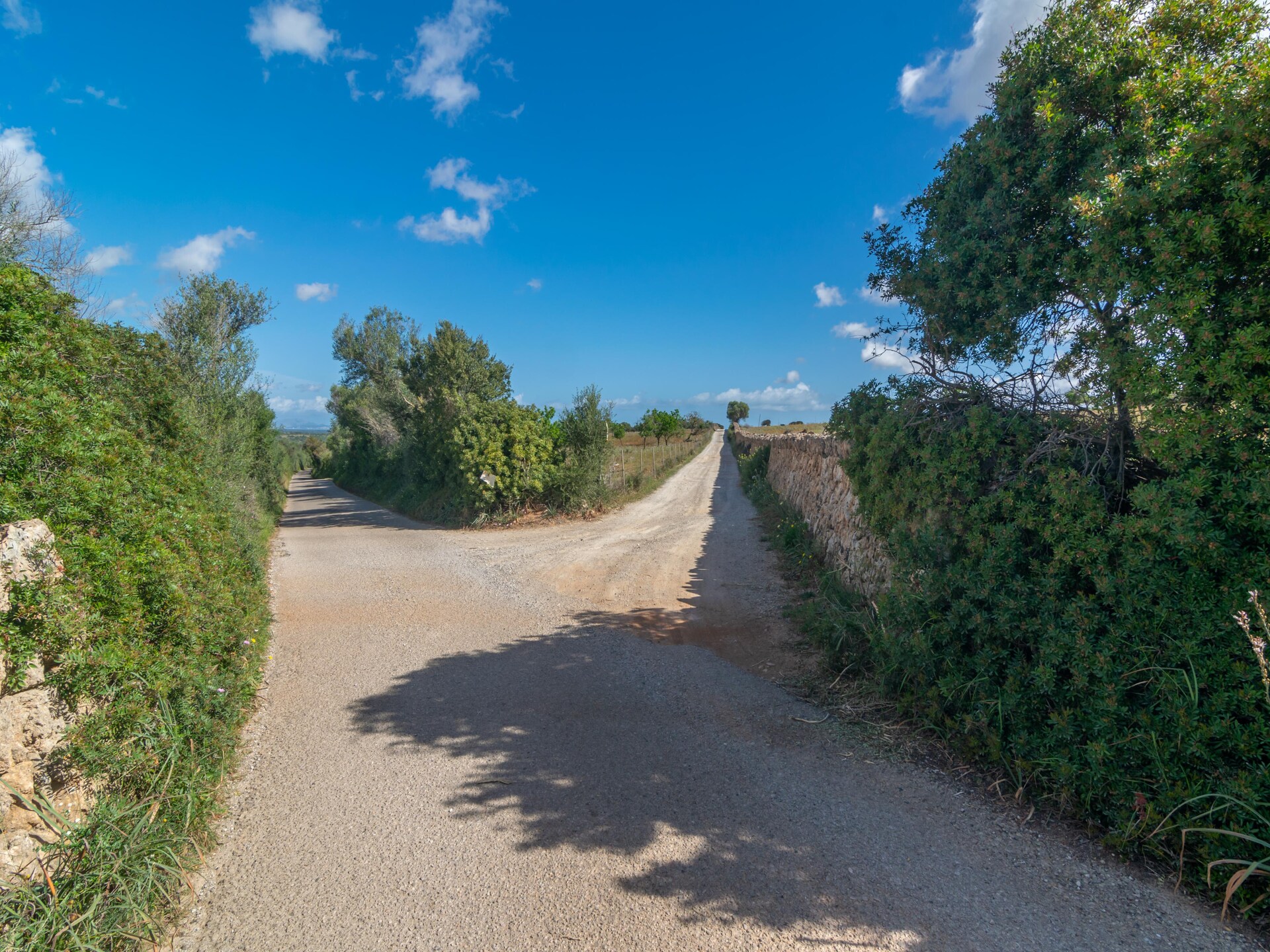 Son Gener (manacor) - foto 43