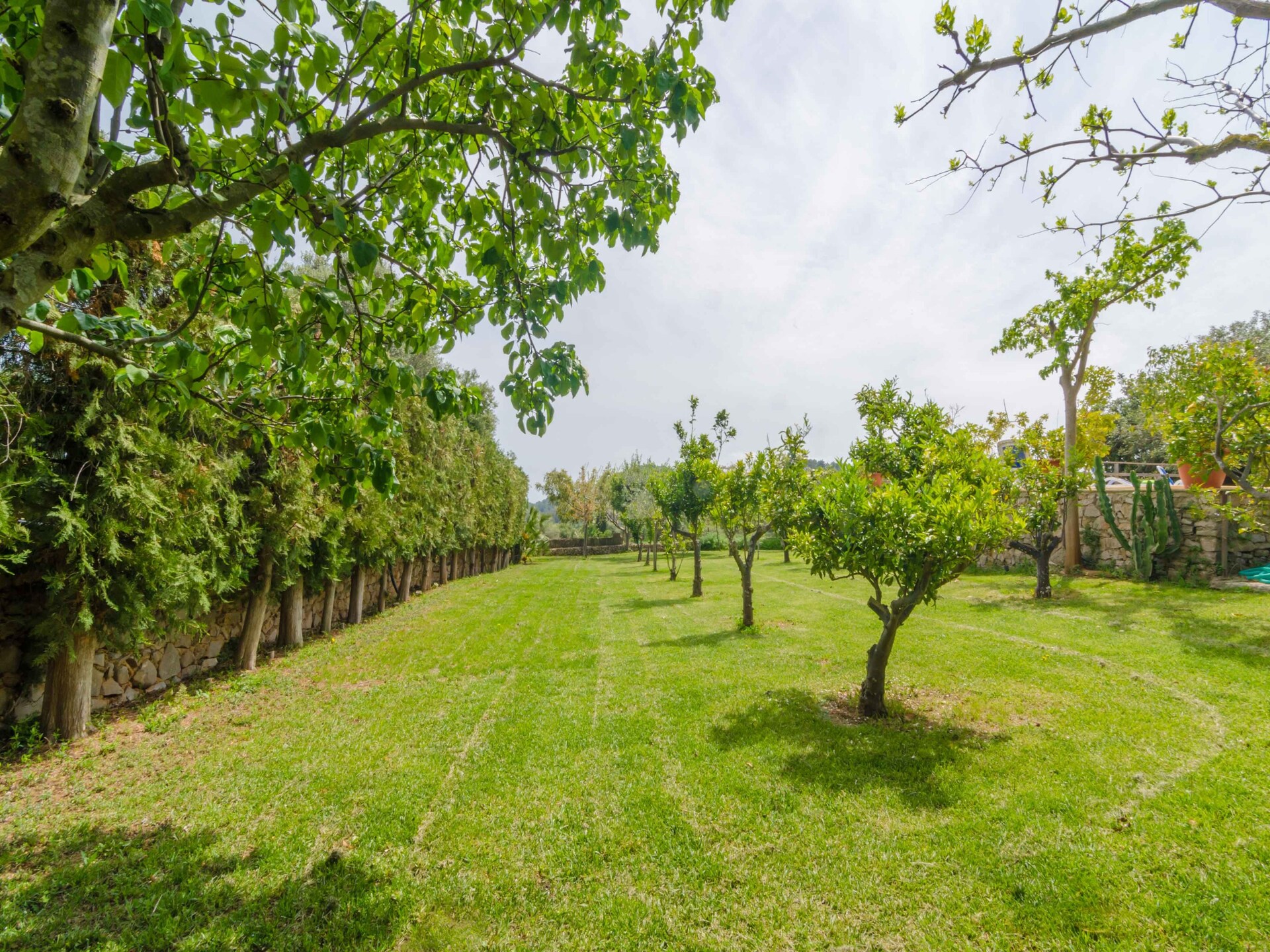 Es Rafal De Baix: Authentieke finca met privézwembad nabij Pula Golf - foto 48