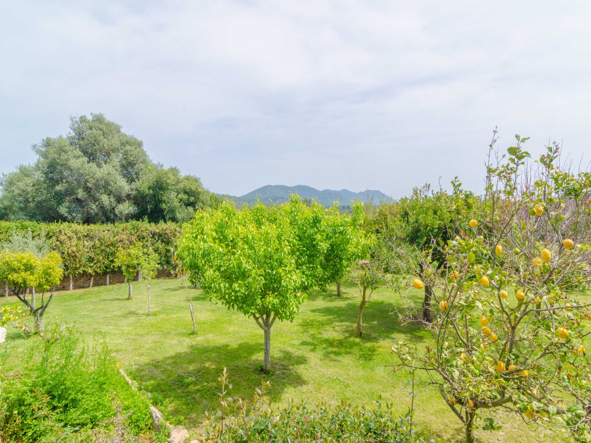 Es Rafal De Baix: Authentieke finca met privézwembad nabij Pula Golf - foto 47