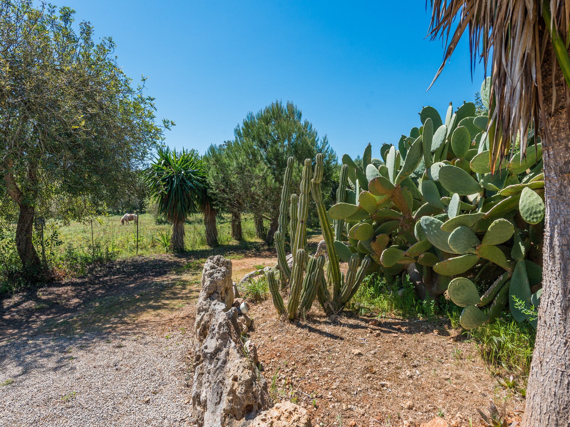 6-persoons villa met privézwembad in Inca - foto 34