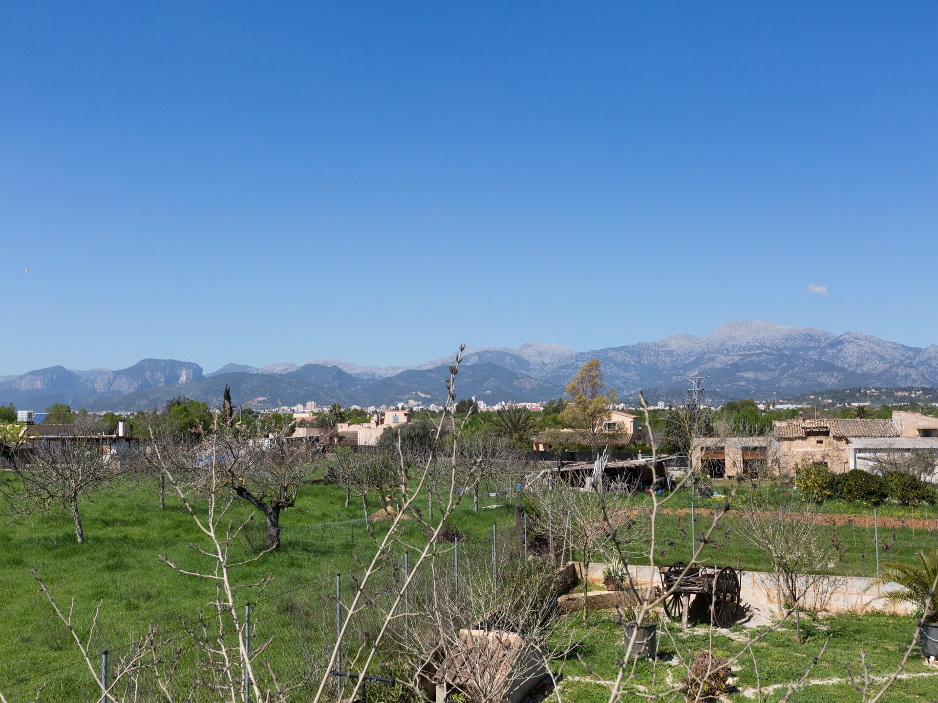 Villa Finca Can Diego: Oase van rust met privézwembad nabij Inca - foto 34
