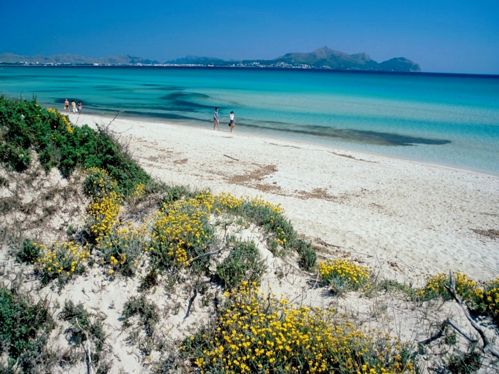 Al Pujol: Gezellig appartement met terras in Port d'Alcúdia, 800m van het strand - foto 24