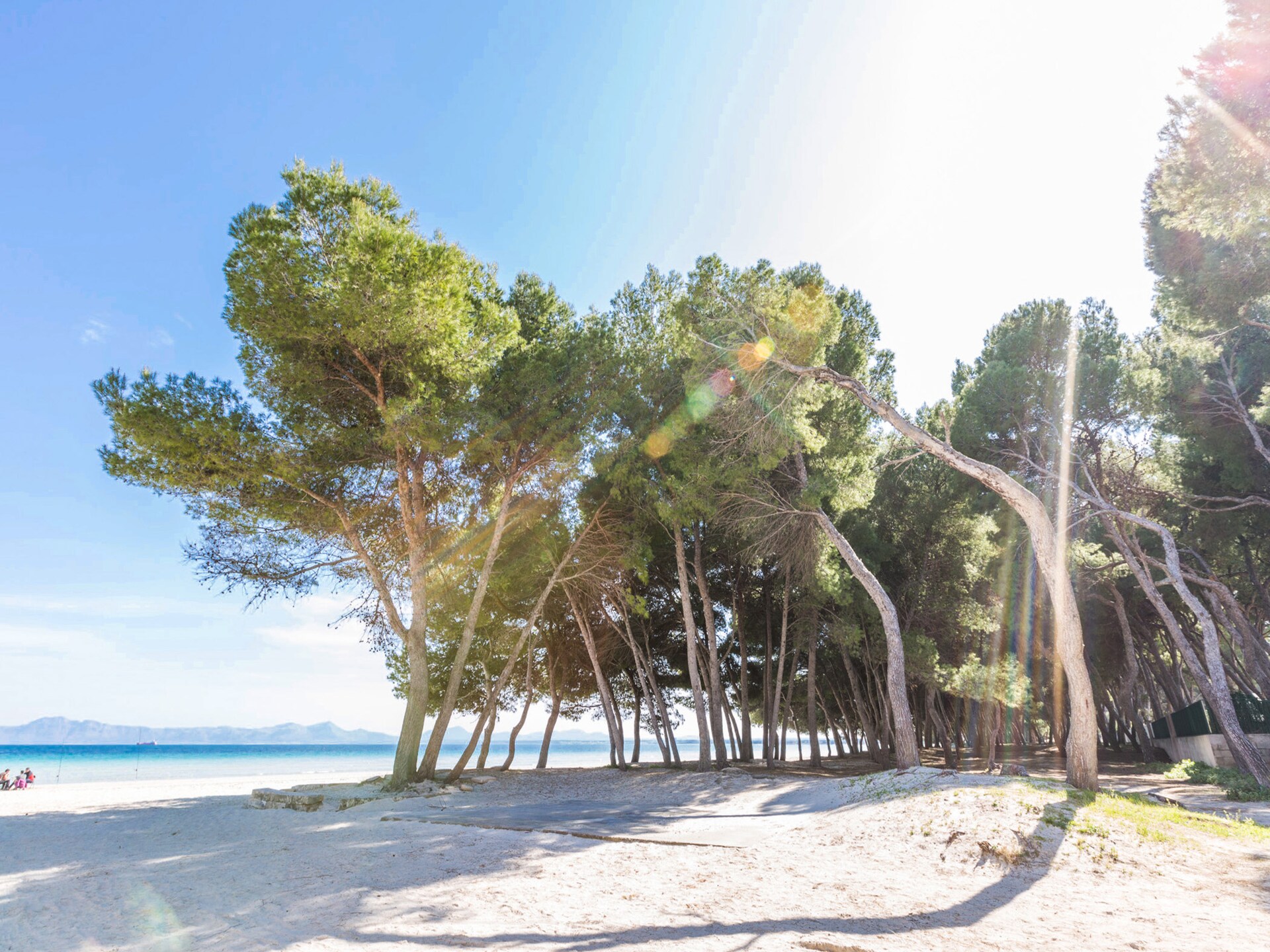 Knusse tent aan de golfbaan, op 200 meter van het strand van Alcúdia - foto 19