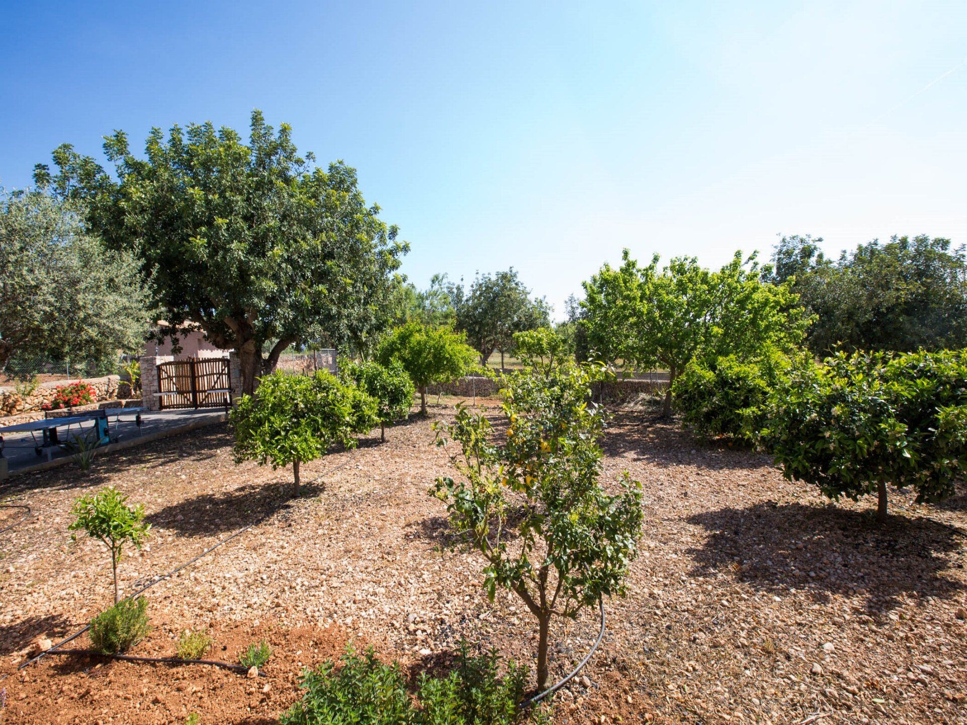 Authentieke finca met privézwembad en uitzicht op golfbaan in Calonge - foto 36