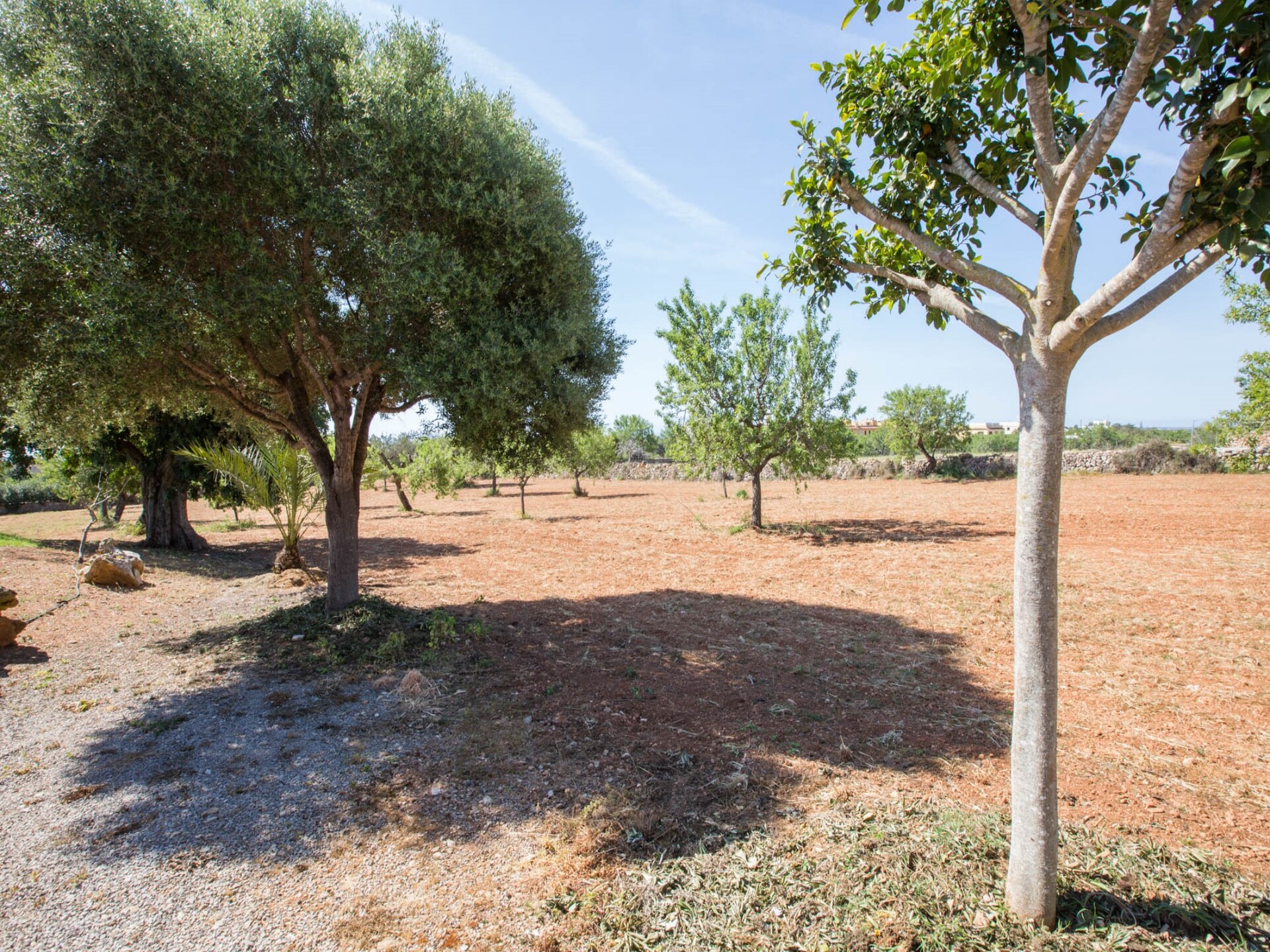 Authentieke finca met privézwembad en uitzicht op golfbaan in Calonge - foto 40