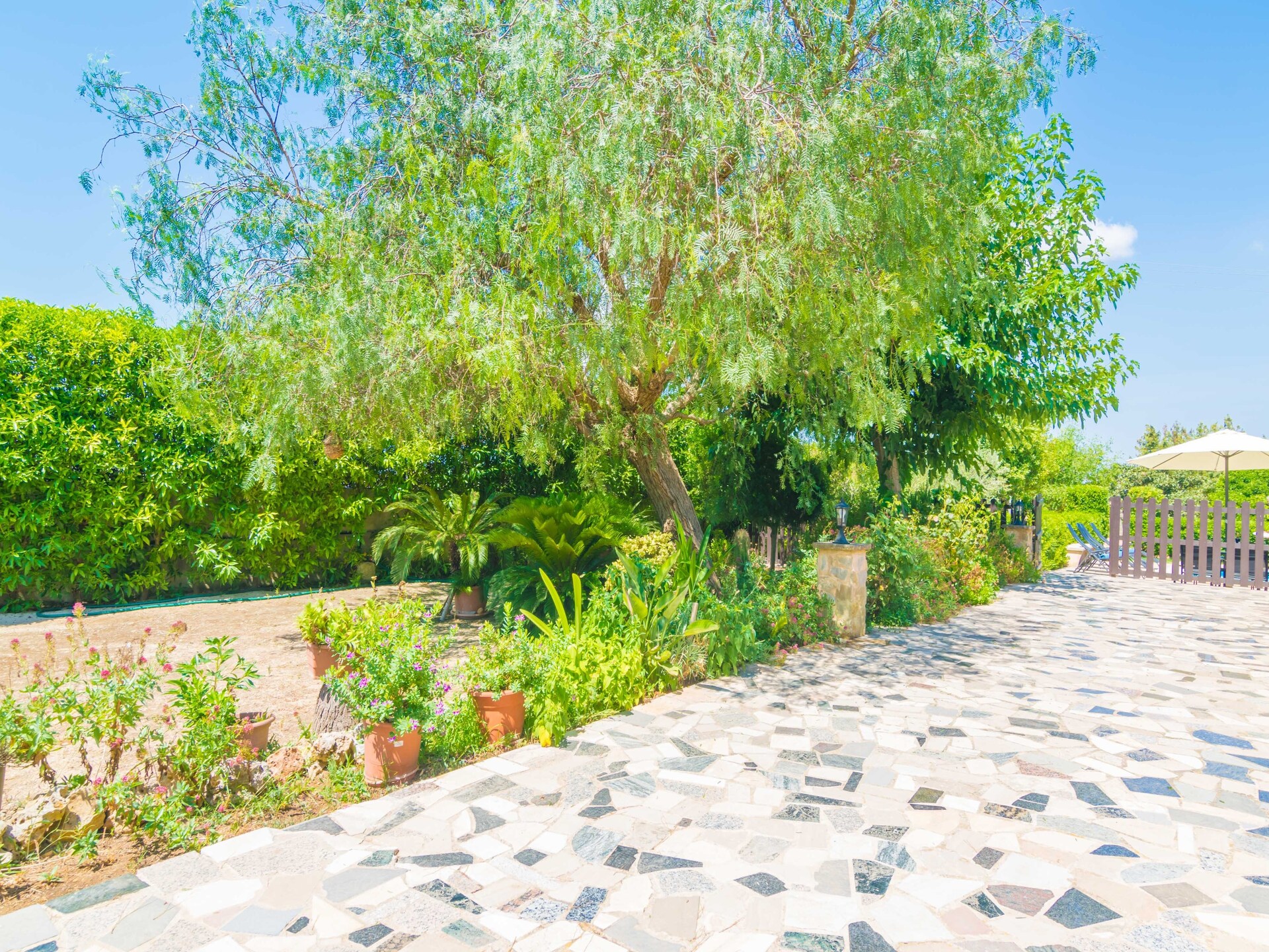 6-persoons villa met privézwembad in Manacor · 22 m² - foto 47