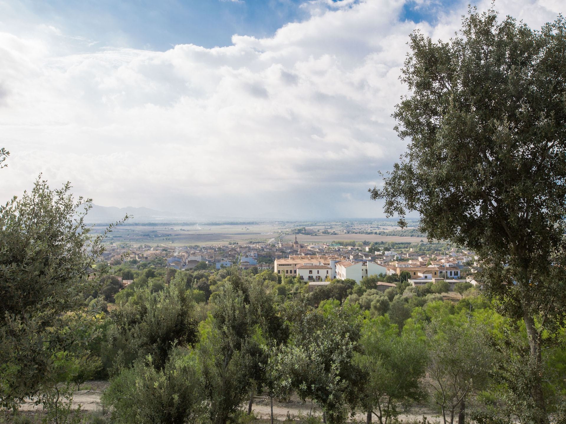 6-persoons villa Son Morey met privézwembad in Vilafranca De Bonany - foto 34