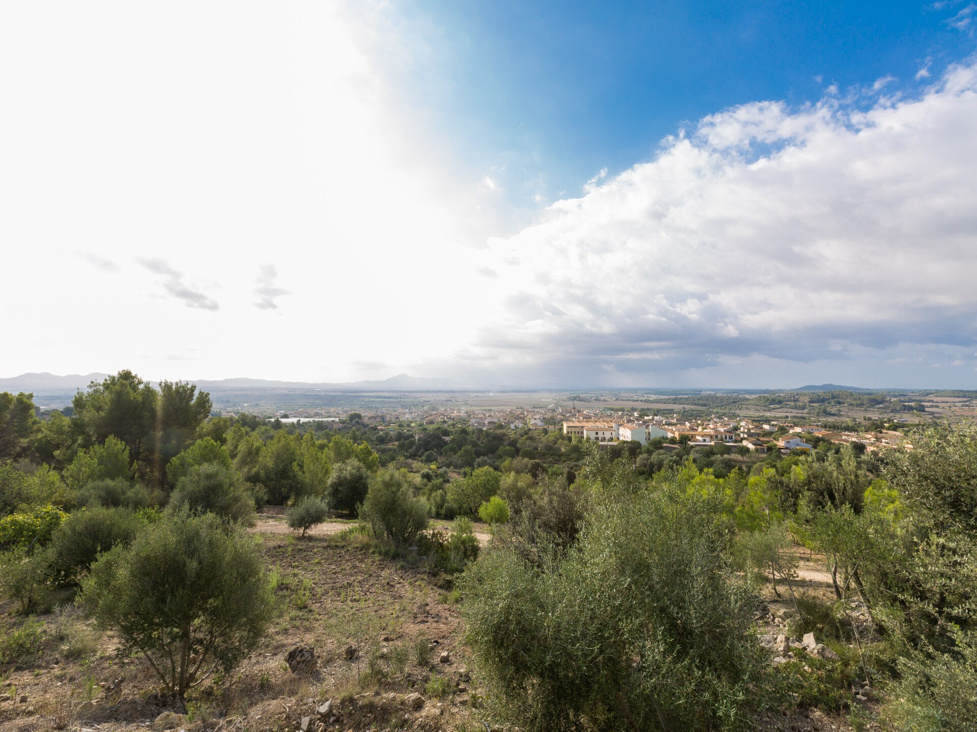 6-persoons villa Son Morey met privézwembad in Vilafranca De Bonany - foto 35
