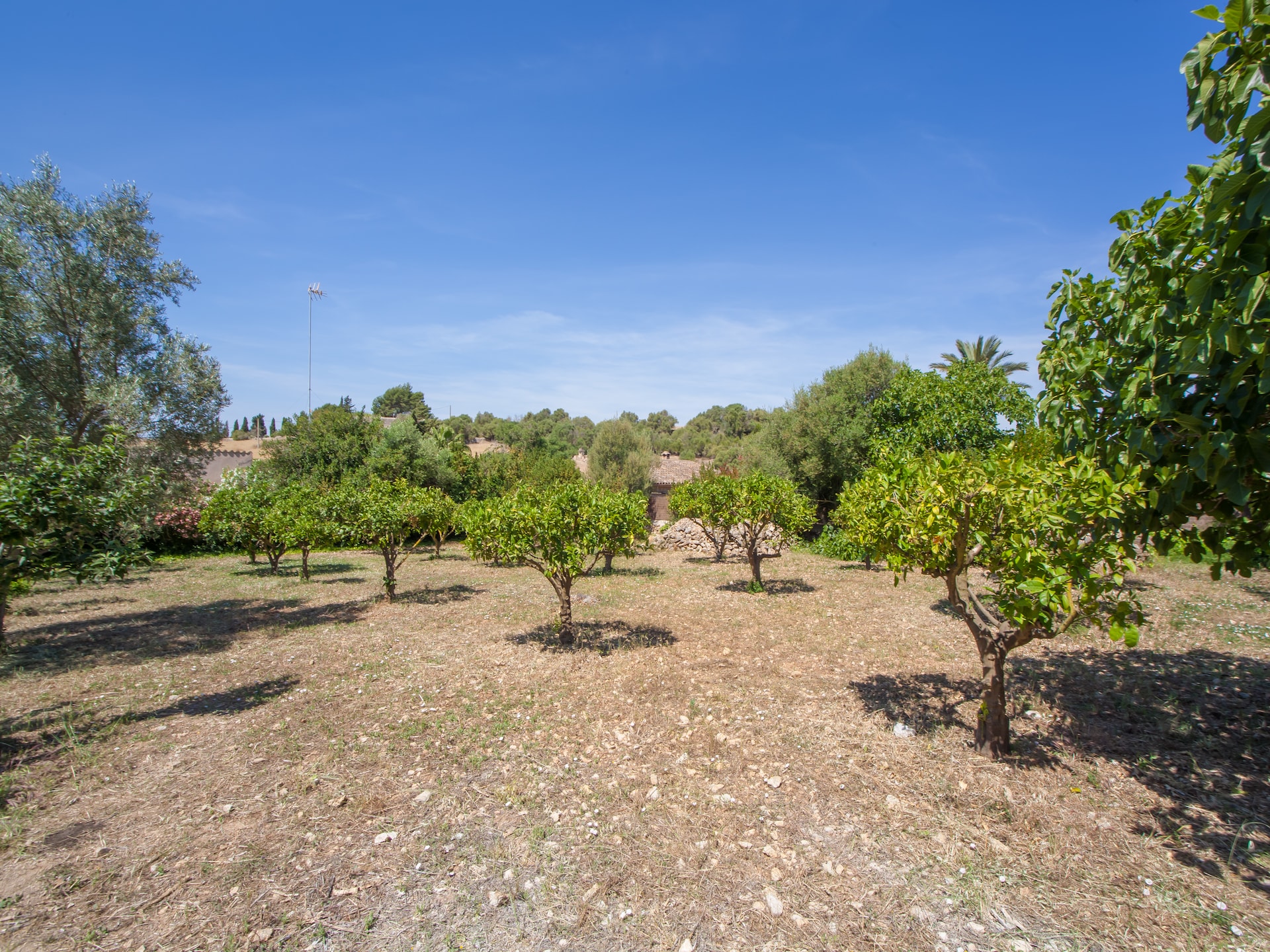 Villa Son GorriÓ met privézwembad in Sant Llorenç Des Cardassar - foto 27