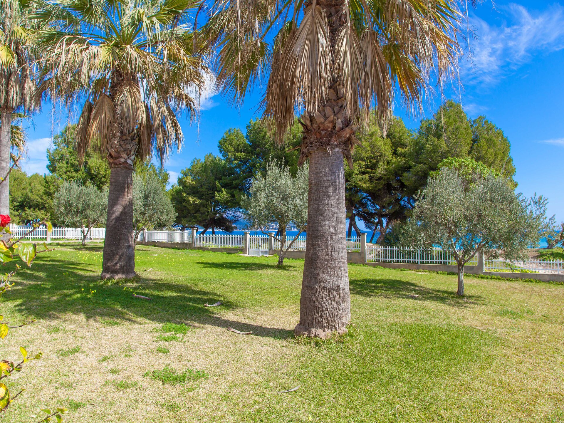 6-persoons appartement aan het strand in Port d'Alcudia - foto 19