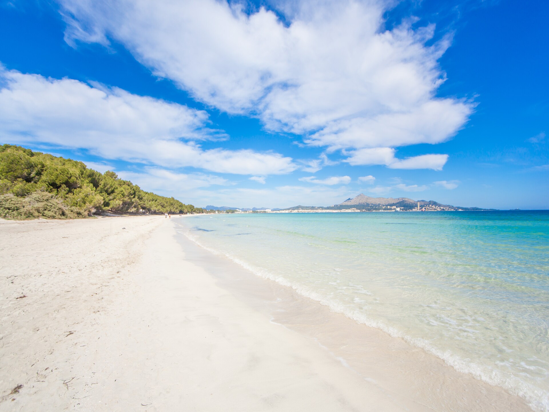 6-persoons appartement aan het strand in Port d'Alcudia - foto 21