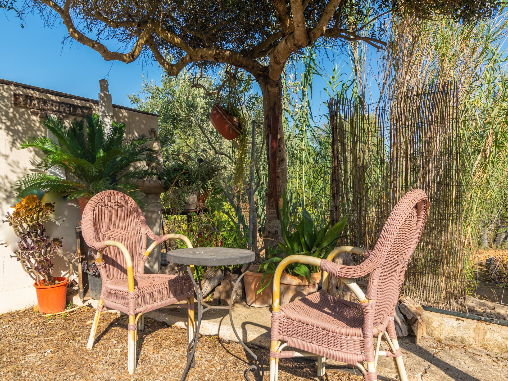 Villa met privézwembad in Sineu voor 6 personen - foto 37