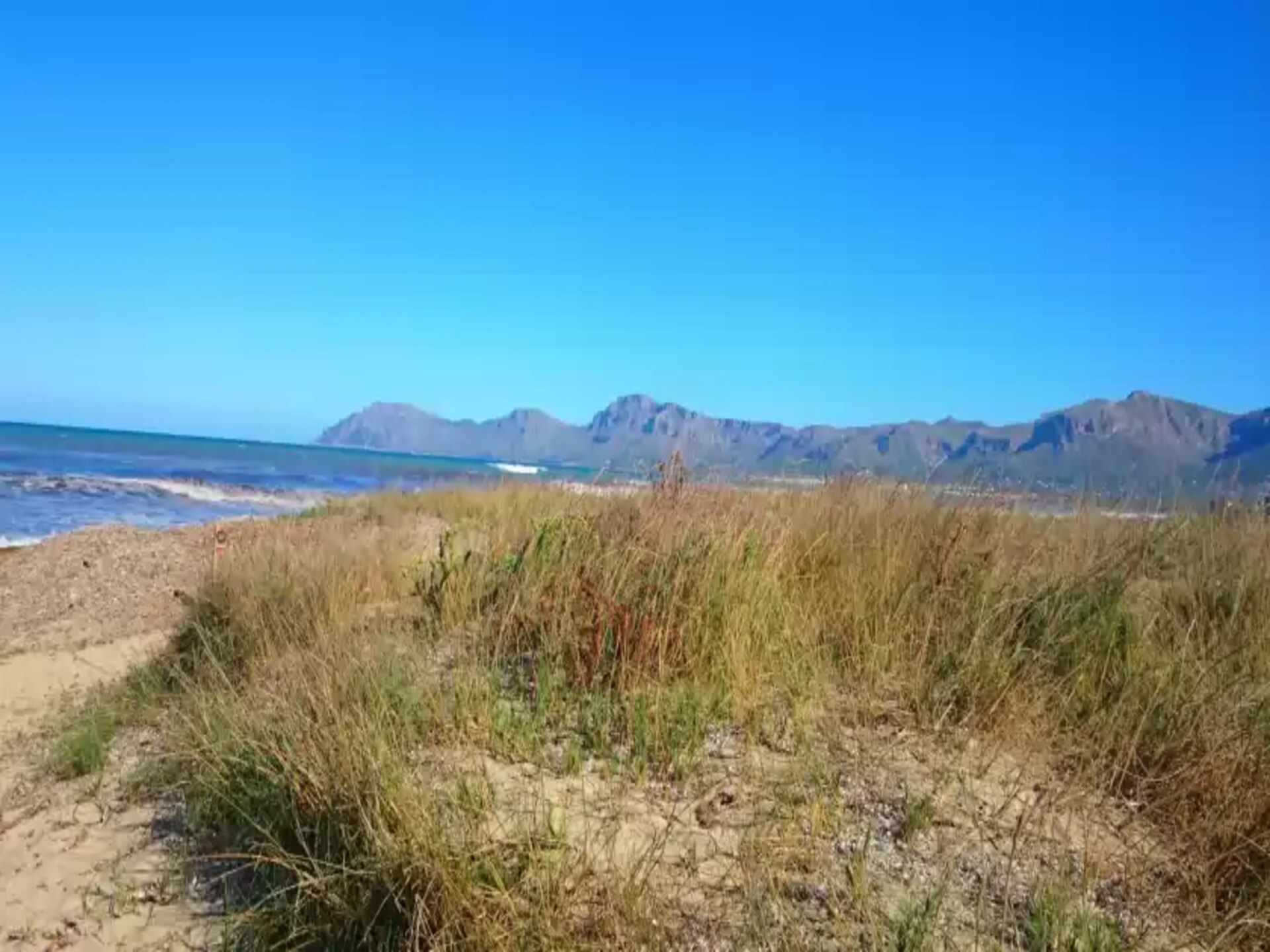 Op 400 m van het strand: Sestanyol tent in Colonia de Sant Pere - foto 22