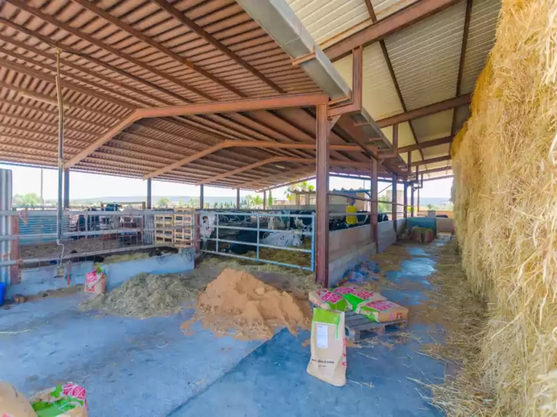 Sfeervolle tent op een kaasboerderij in Campos - foto 25