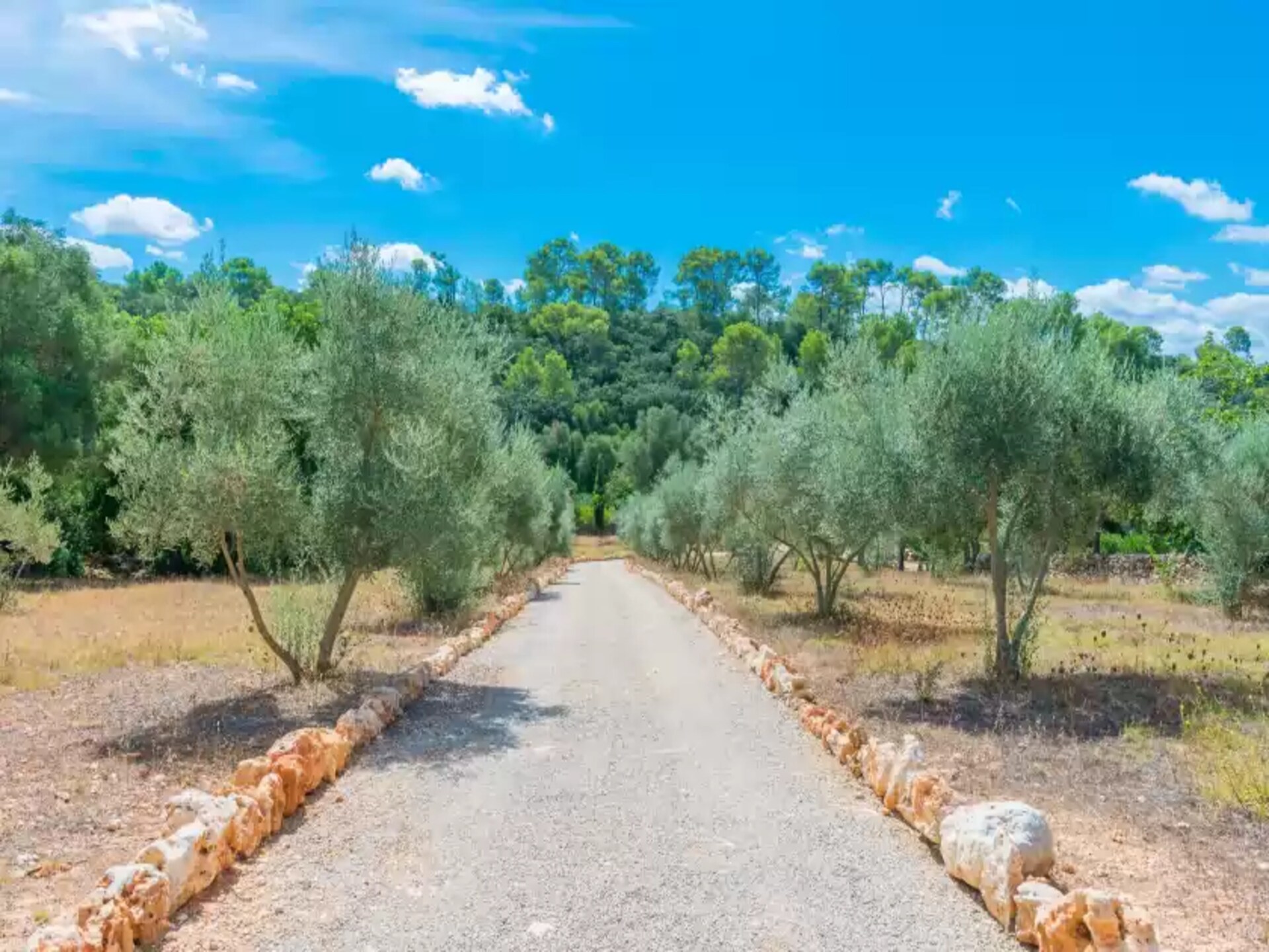 Eco Cascada: Romantische stenen villa met privézwembad op ecologische finca - foto 21
