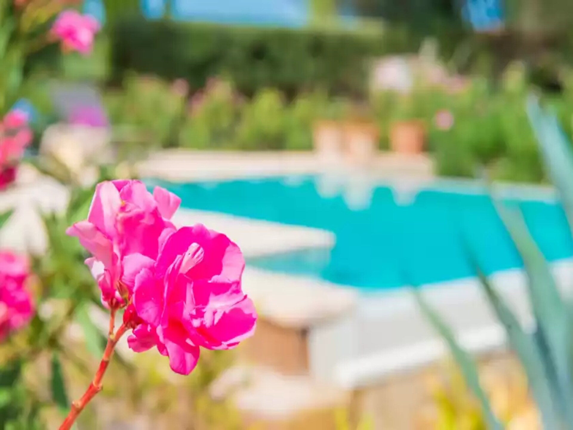 Eco Cascada: Romantische stenen villa met privézwembad op ecologische finca - foto 25