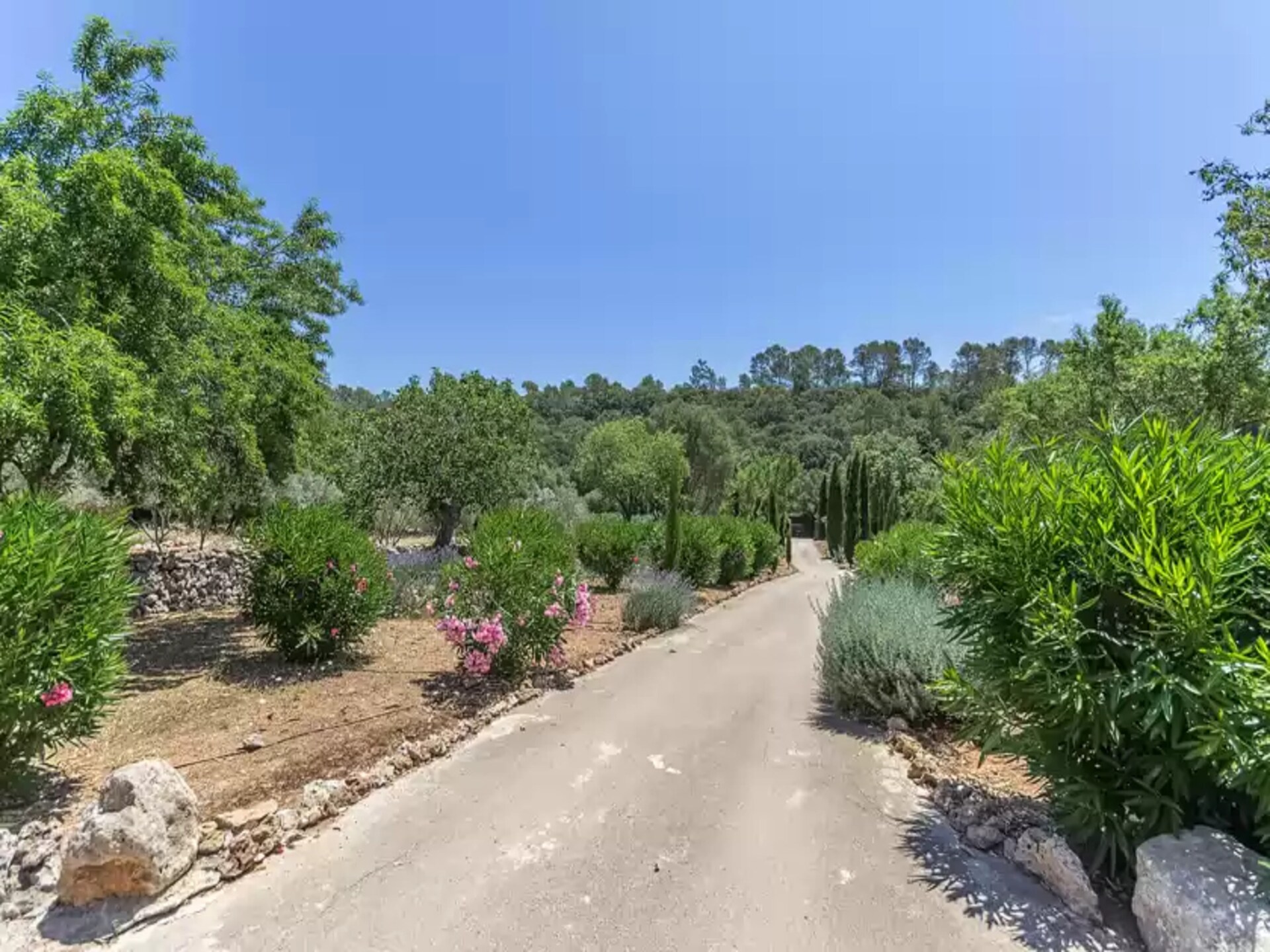 Authentiek appartement op ecologische finca met gedeeld zwembad in Costitx - foto 24