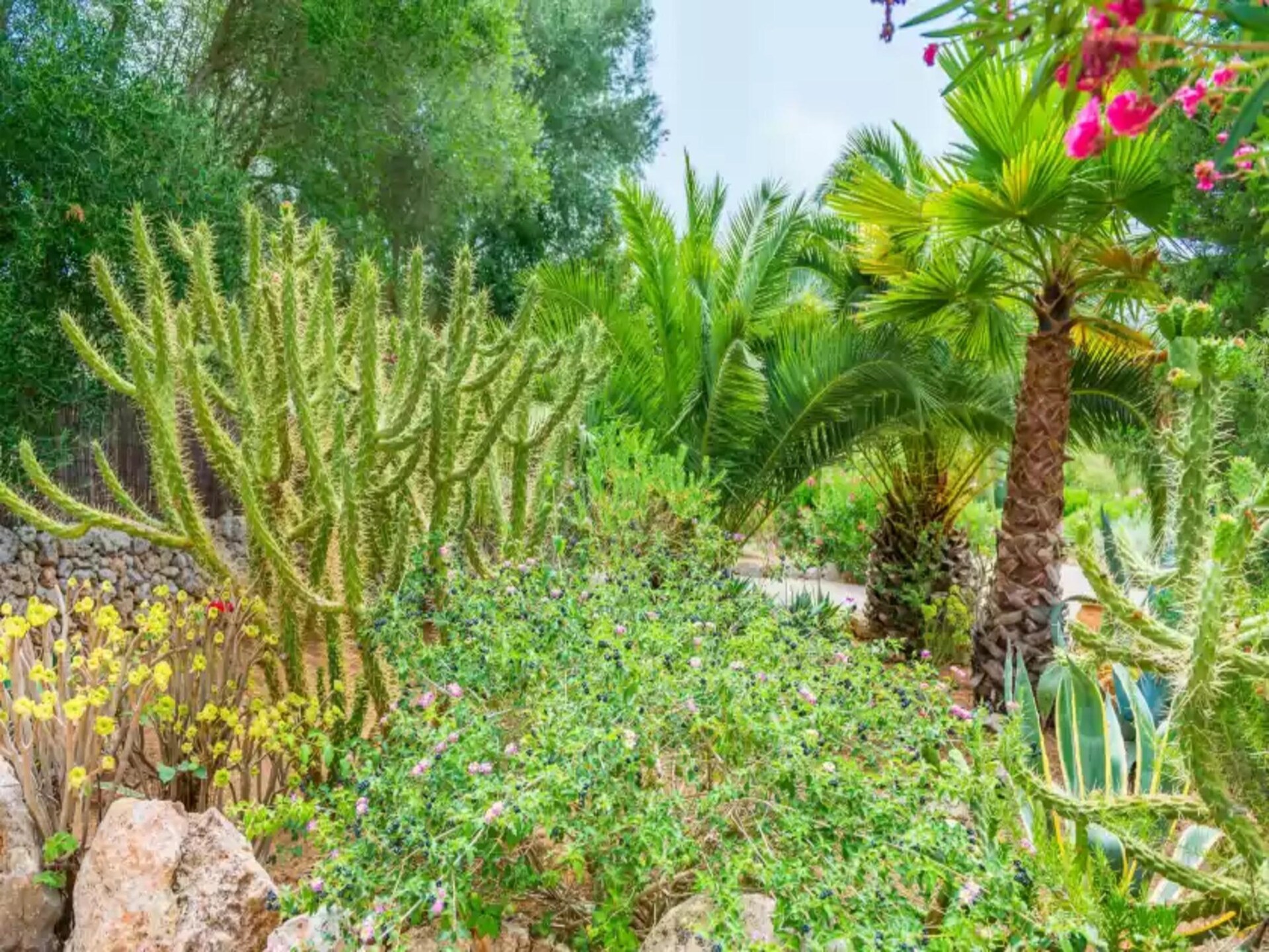 Authentiek appartement op ecologische finca met gedeeld zwembad in Costitx - foto 21