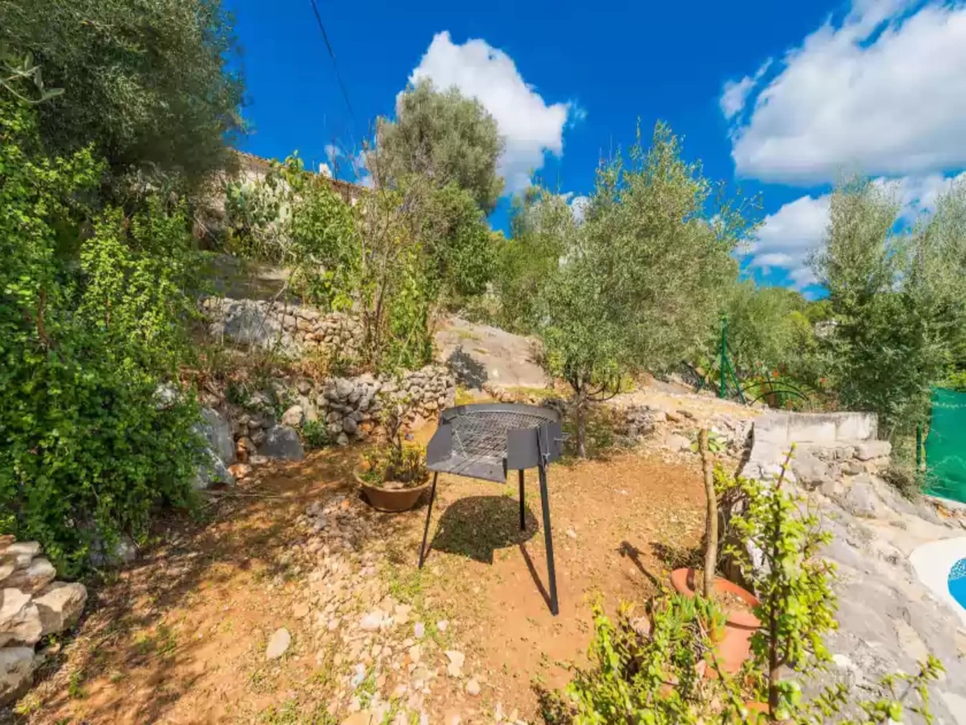 Authentieke 19e-eeuwse villa in Mancor de la Vall met privézwembad - foto 26