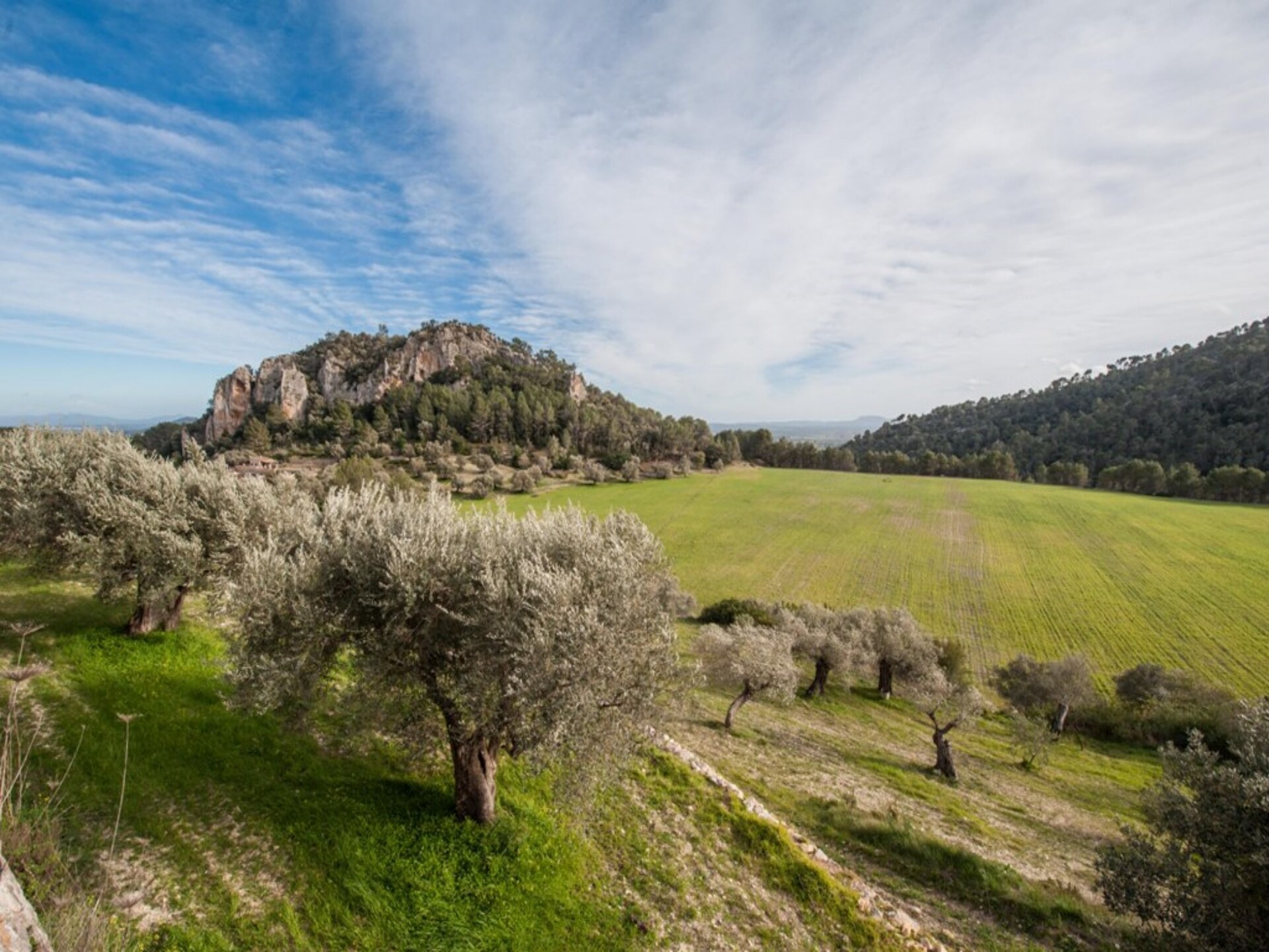 Authentieke 19e-eeuwse villa in Mancor de la Vall met privézwembad - foto 35