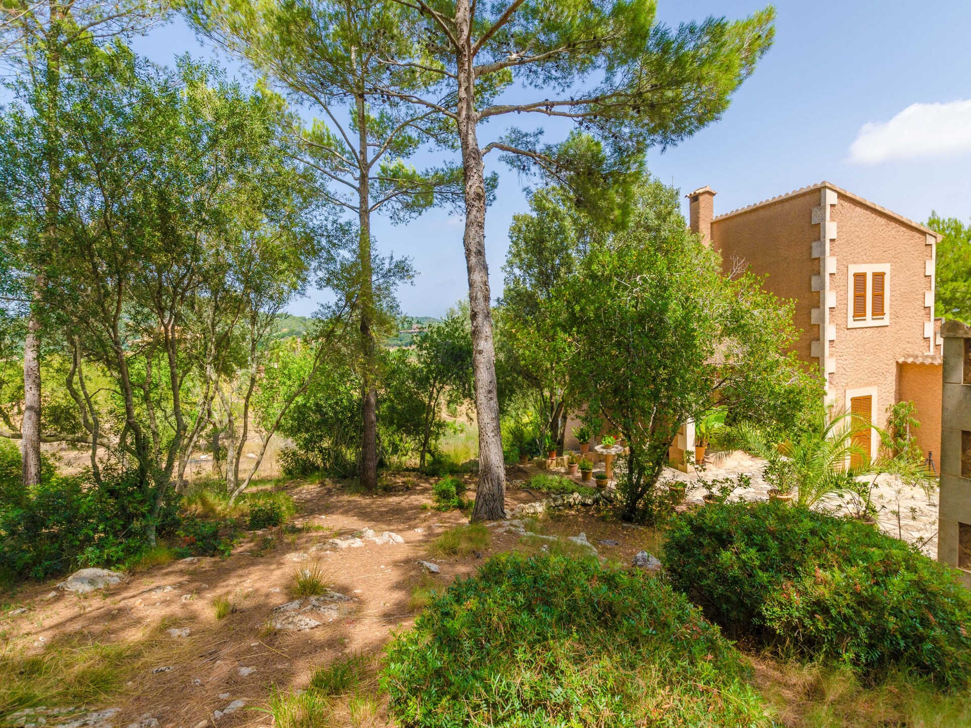Authentieke finca met privézwembad aan de golfbaan bij S'Horta - foto 34