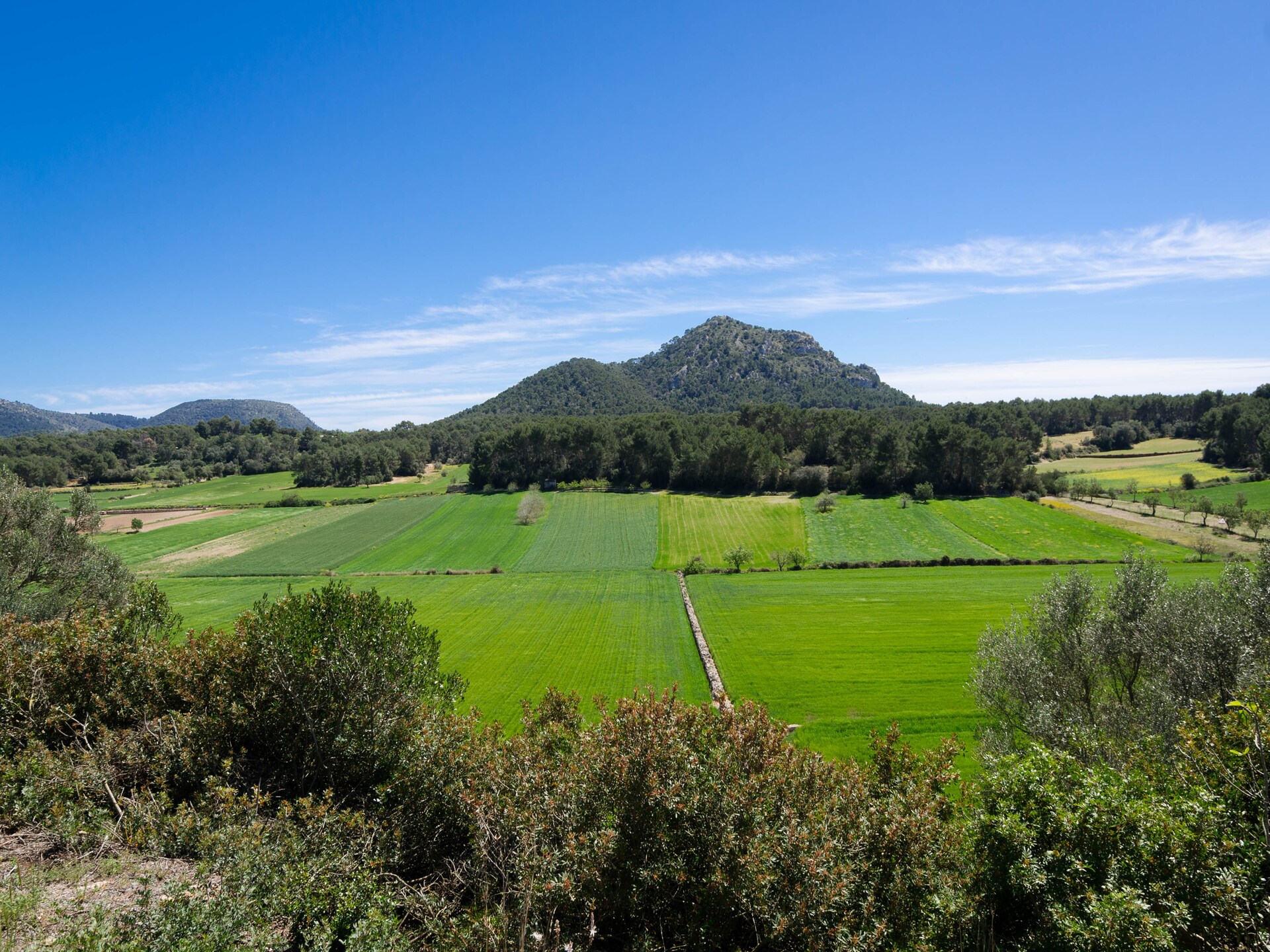 6-persoons villa met privézwembad in Algaida · 6 pers. - foto 27
