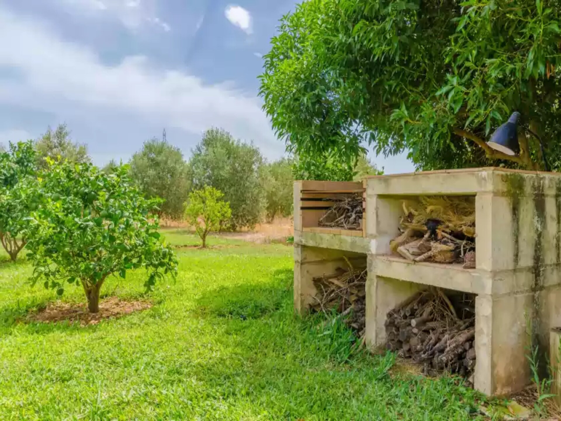 Authentieke finca met privézwembad aan de golfbaan bij Sa Pobla - foto 28