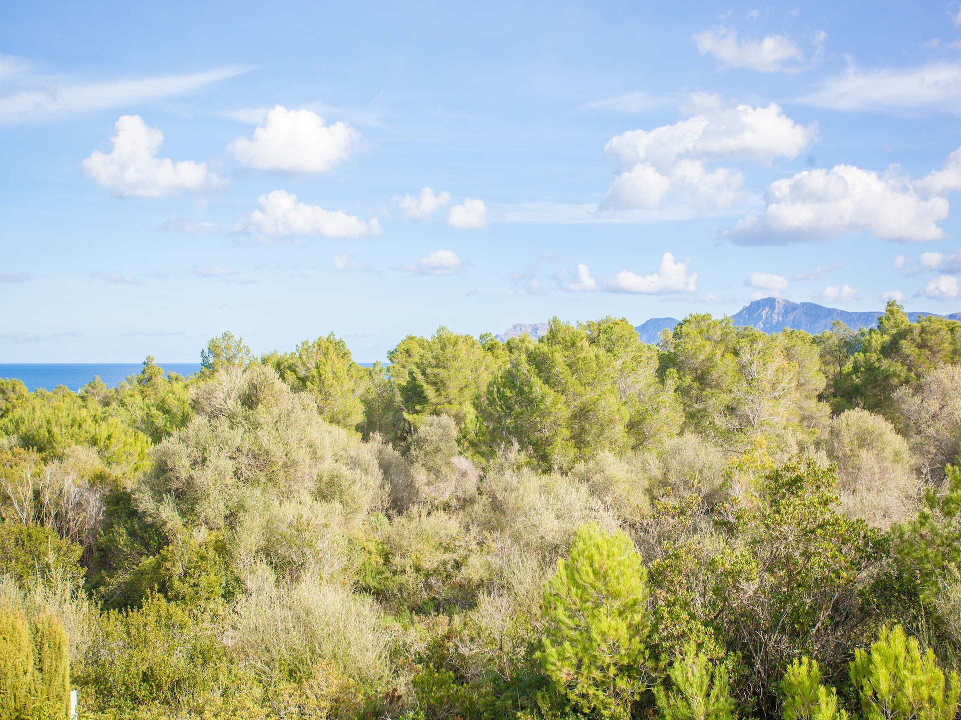 Sfeervolle tent aan de golfbaan in Son Serra De Marina, 500m van strand - foto 31
