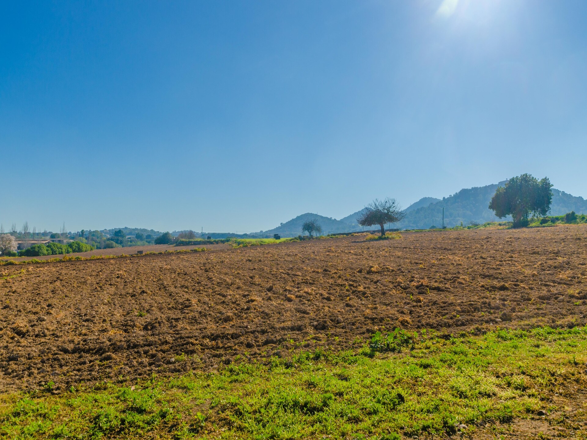 Authentieke finca met privézwembad bij Manacor, vlakbij de mooiste stranden - foto 37