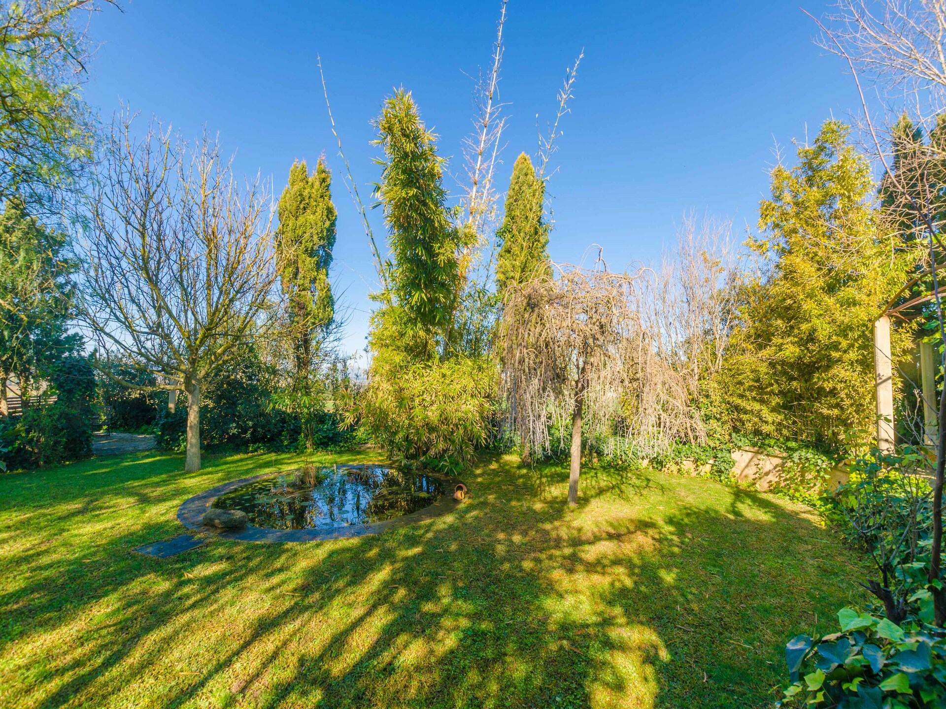 Authentieke finca met privézwembad bij Manacor, vlakbij de mooiste stranden - foto 33