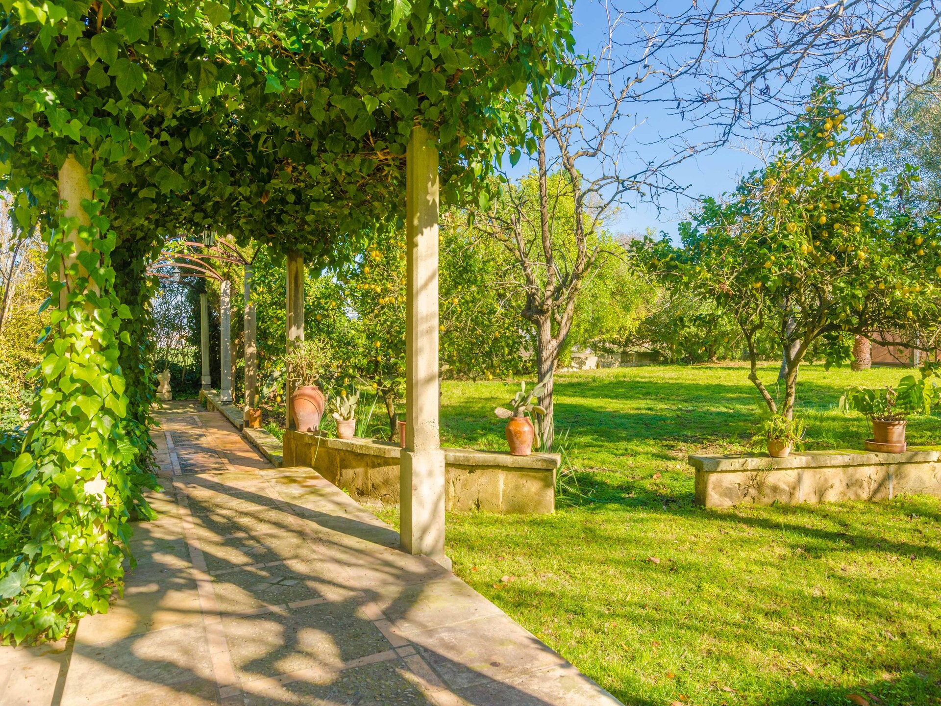 Authentieke finca met privézwembad bij Manacor, vlakbij de mooiste stranden - foto 32