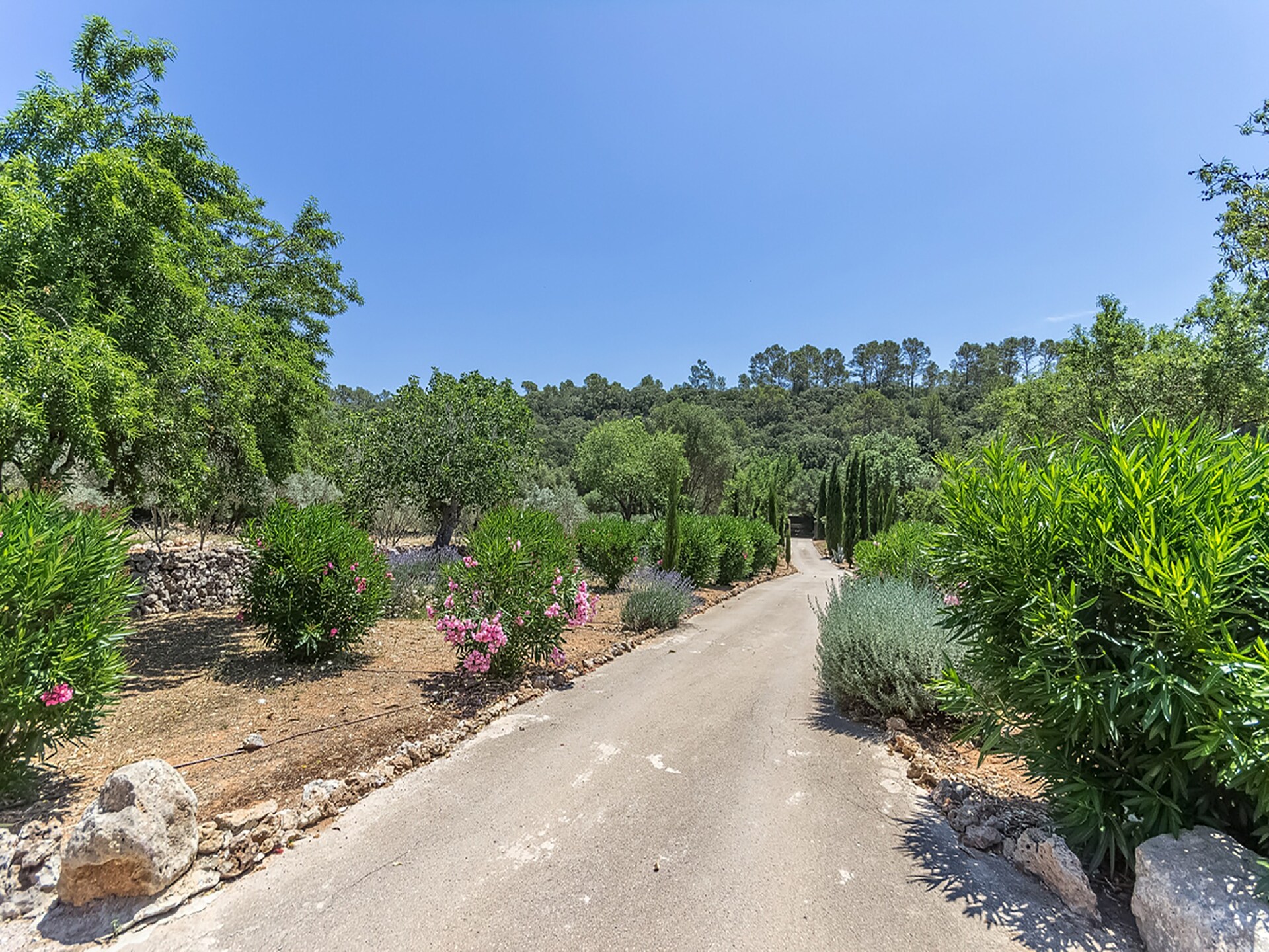 Ecologisch appartement aan golfbaan met zwembad in Costitx, Mallorca - foto 23