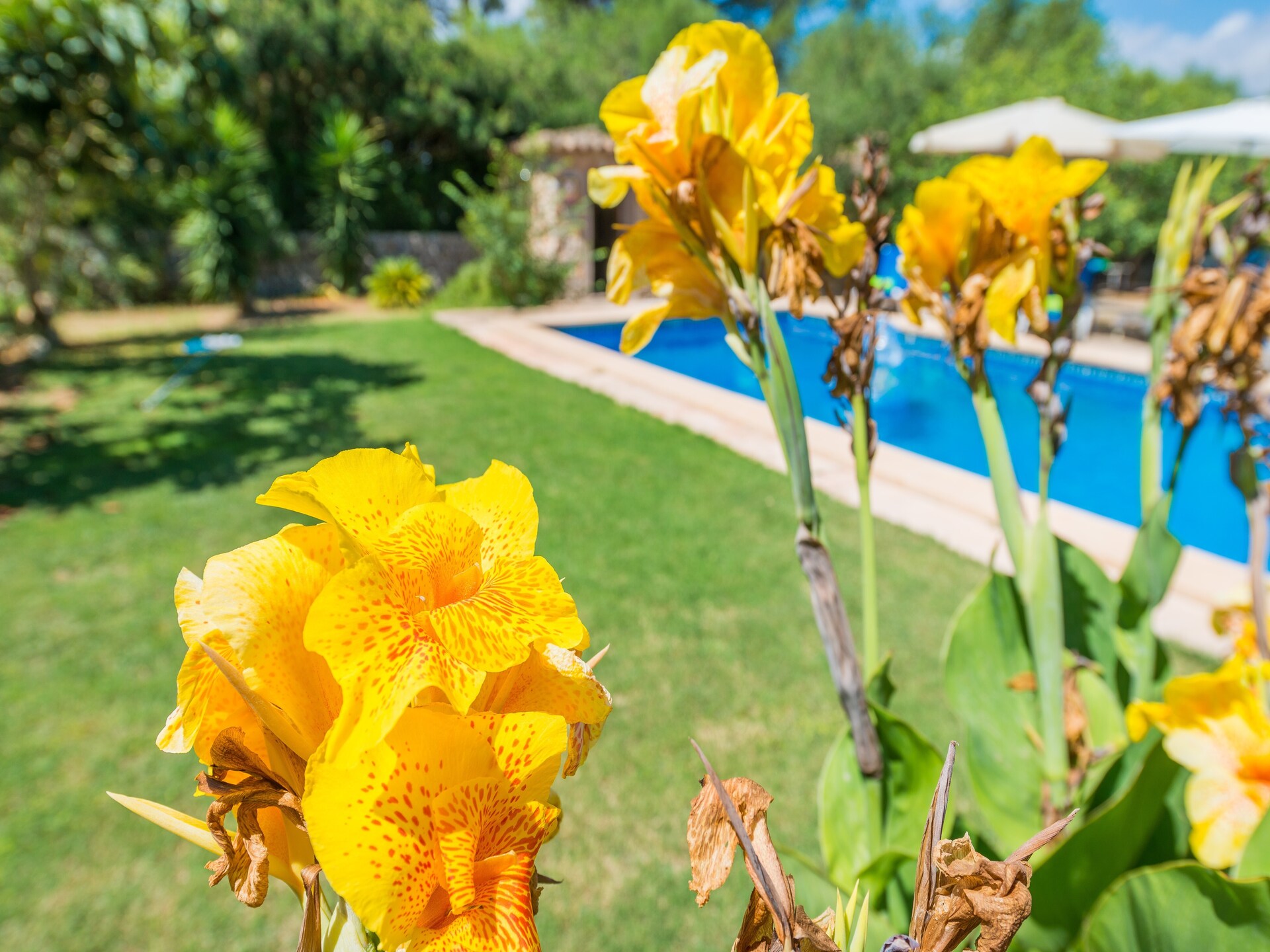 Vrijstaande finca met privézwembad en uitzicht op de golfbaan bij Manacor - foto 35
