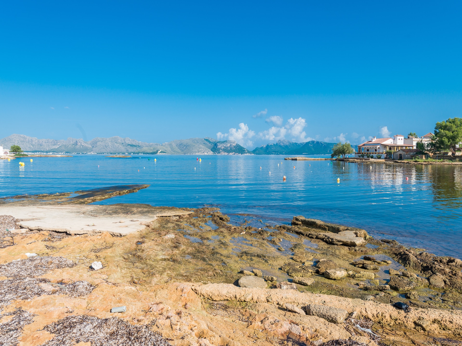 Op 400 m van het strand: Knus appartement in Es Barcarès - foto 31