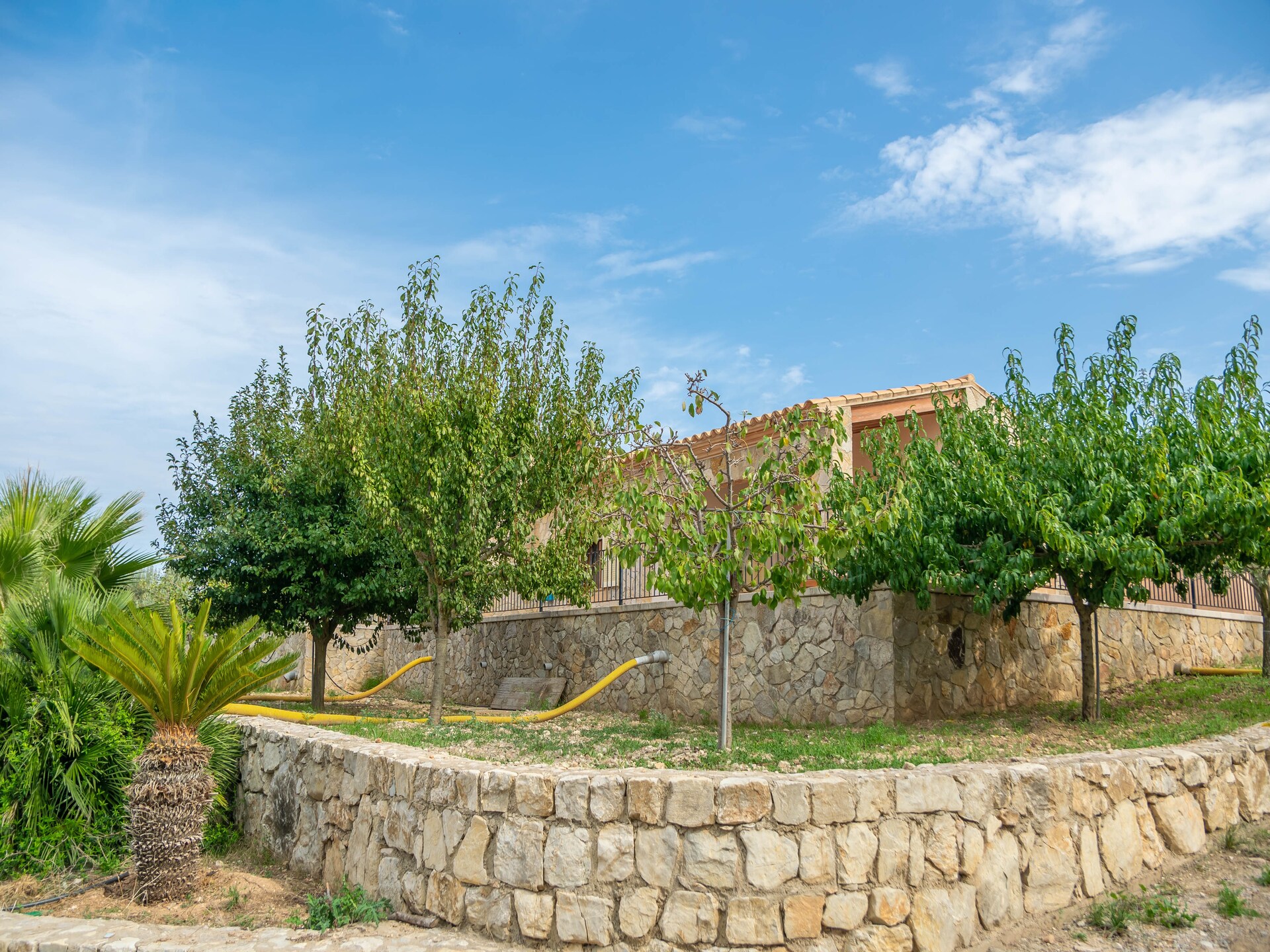 4-persoons villa met privézwembad in Son Servera - foto 30