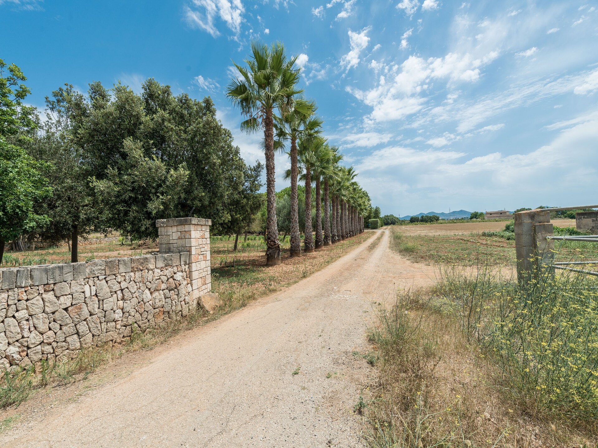 Landelijk gelegen tent met privézwembad bij Manacor, vlakbij golfbaan - foto 52