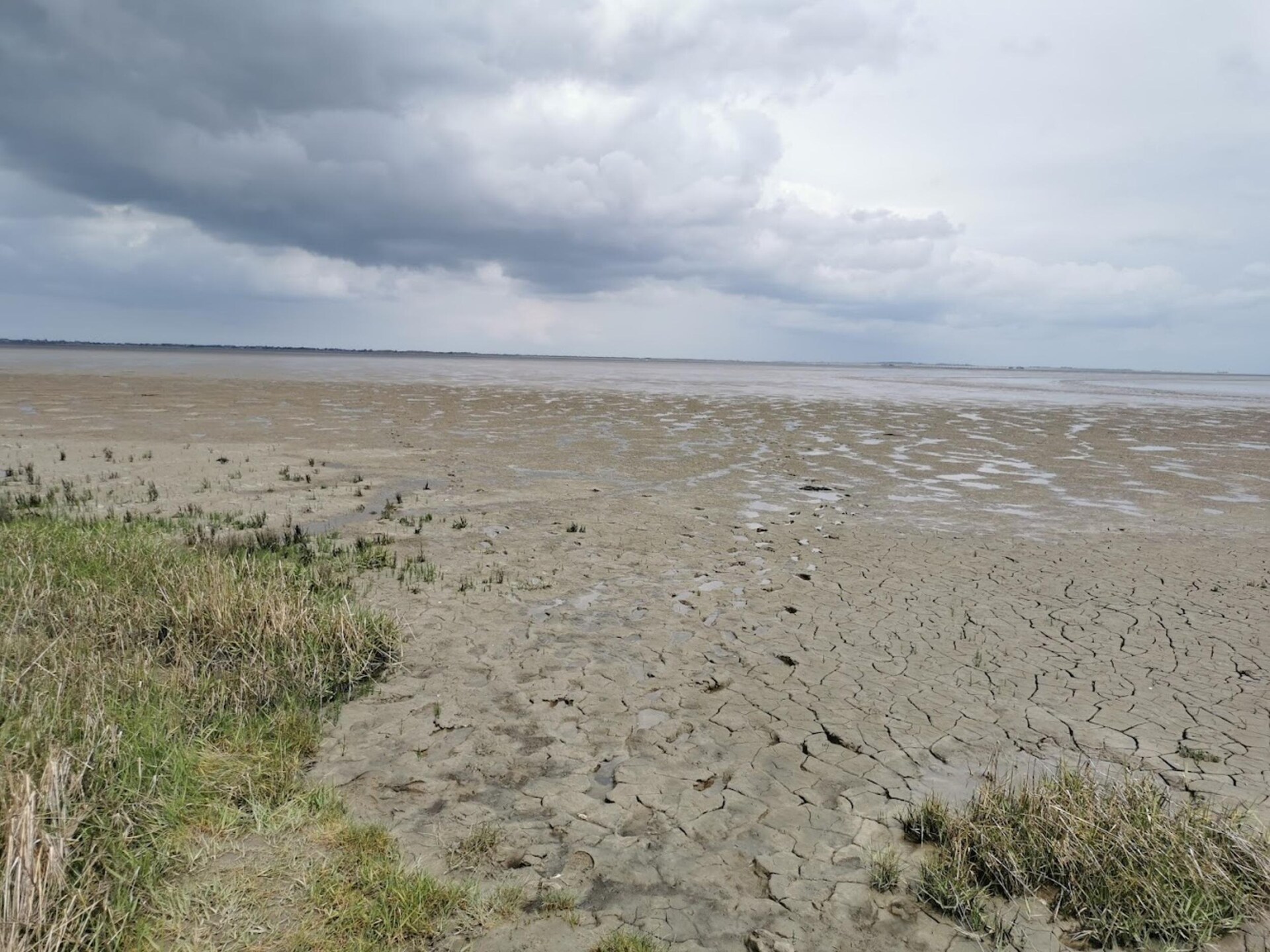 Knusse vakantiewoning met omheinde tuin, hond welkom, op 2 km van strand - foto 24