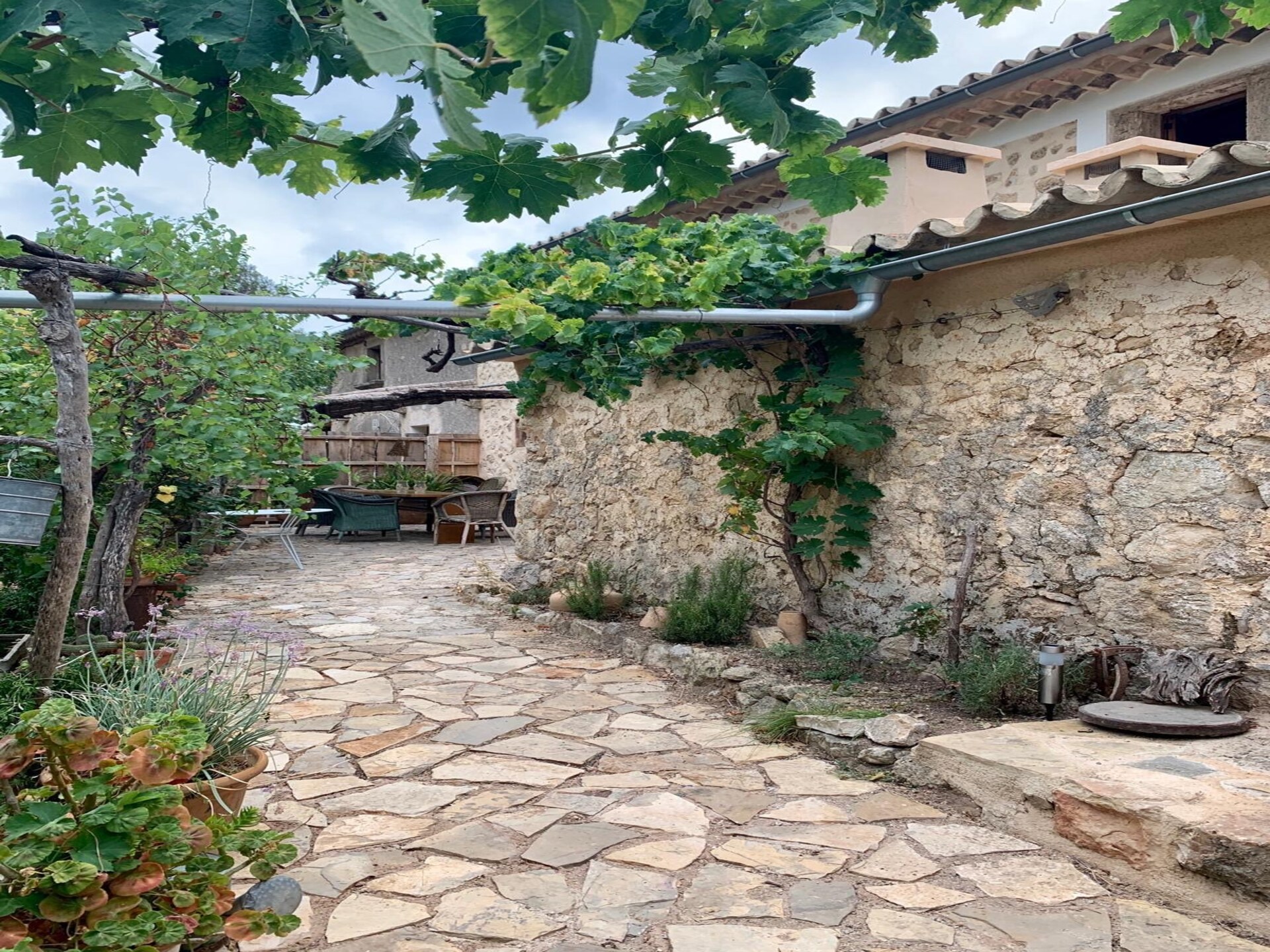 Authentieke finca met privézwembad nabij Andratx en Camp de Mar - foto 25