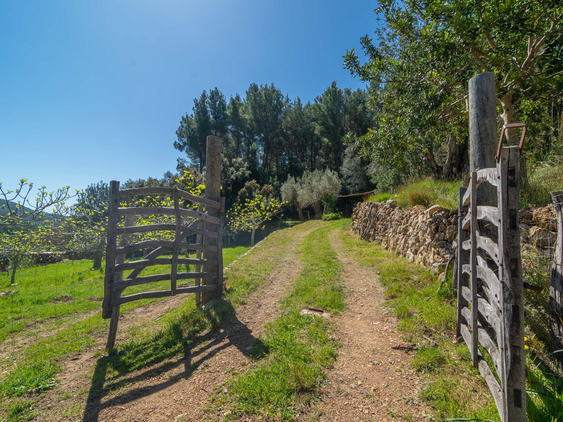 Authentieke finca met privézwembad nabij Andratx en Camp de Mar - foto 27