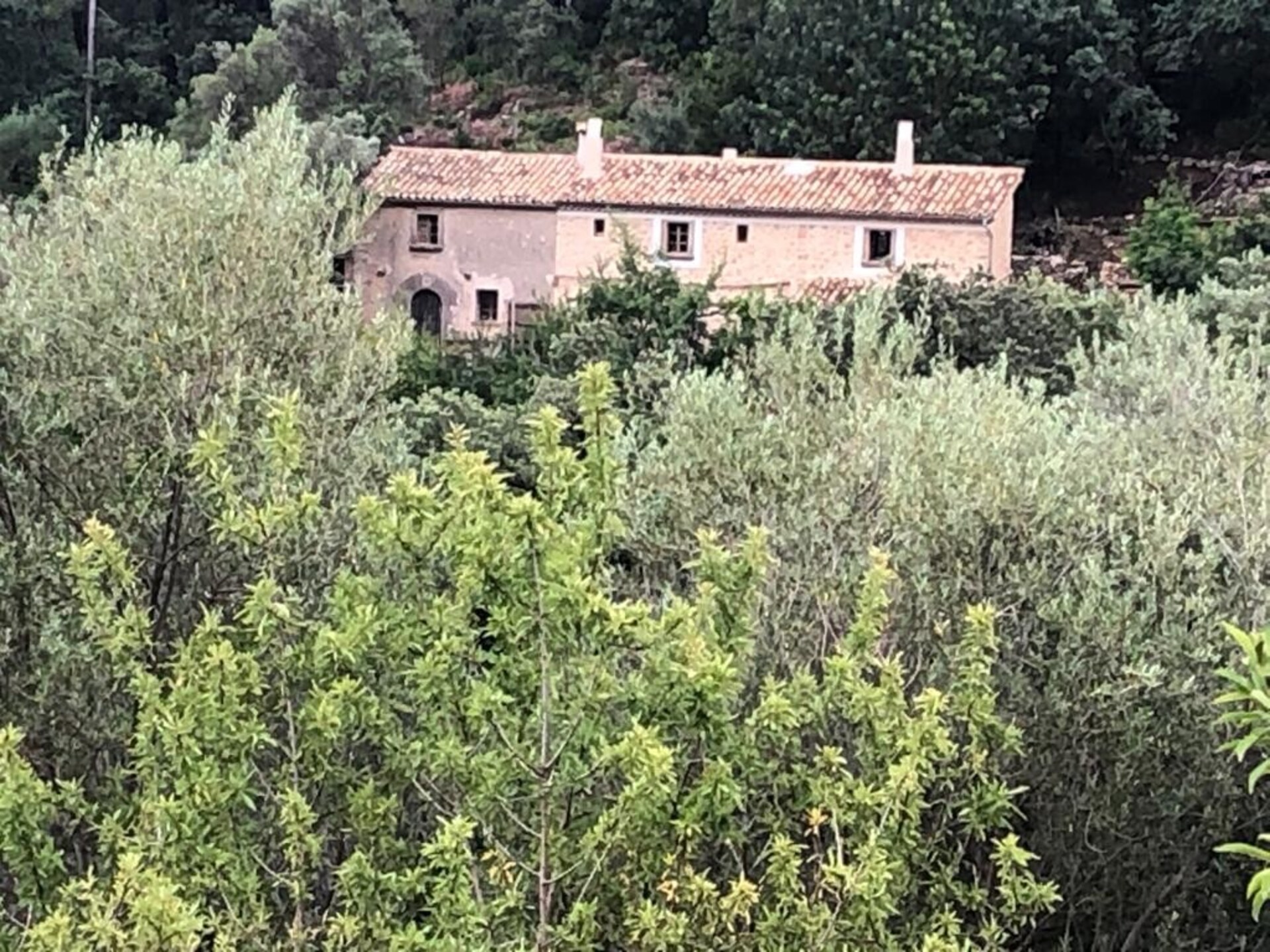 Authentieke finca met privézwembad nabij Andratx en Camp de Mar - foto 29