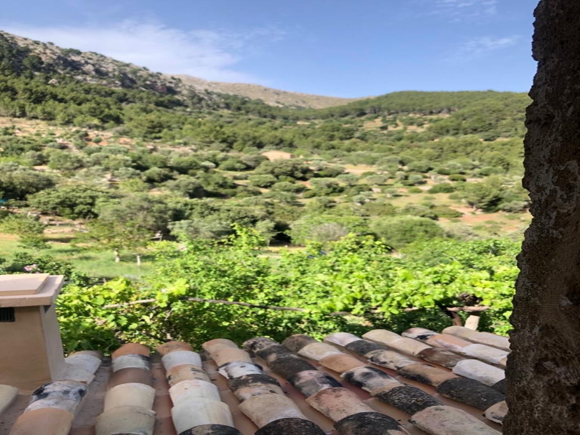 Authentieke finca met privézwembad nabij Andratx en Camp de Mar - foto 30