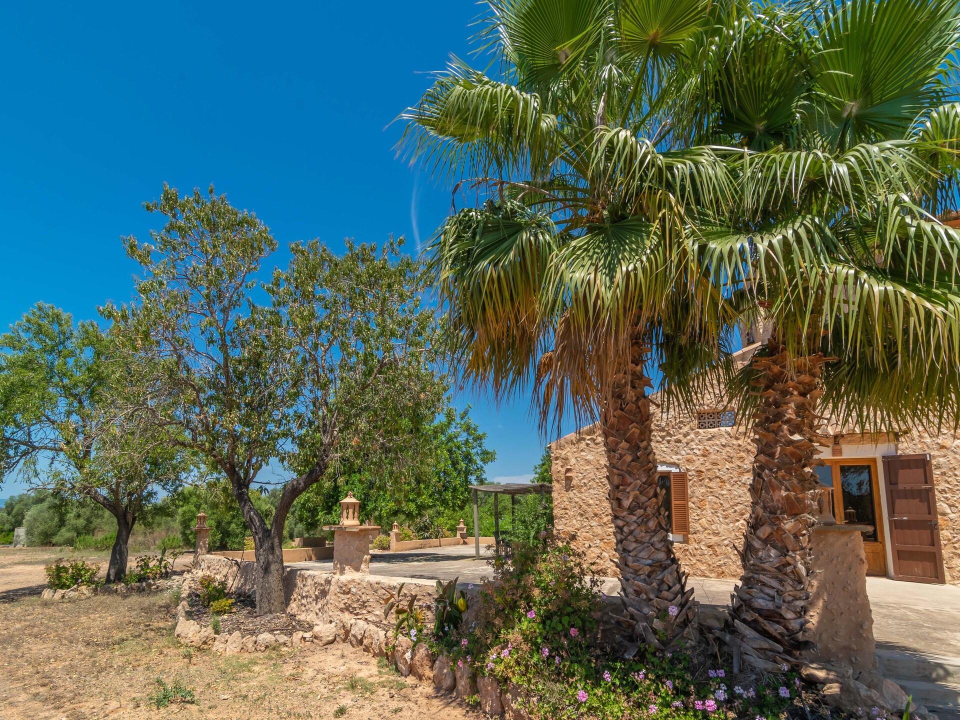 Saran - foto 53