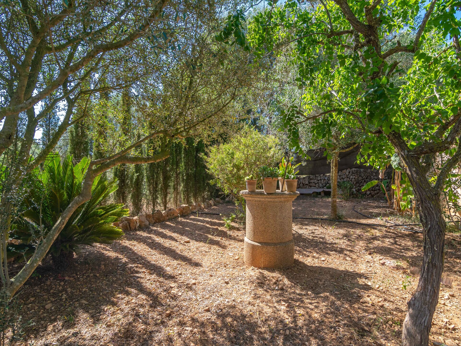 Glamping tent Lo D'en Creus in Campos, Mallorca – rustig aan de golfbaan - foto 28