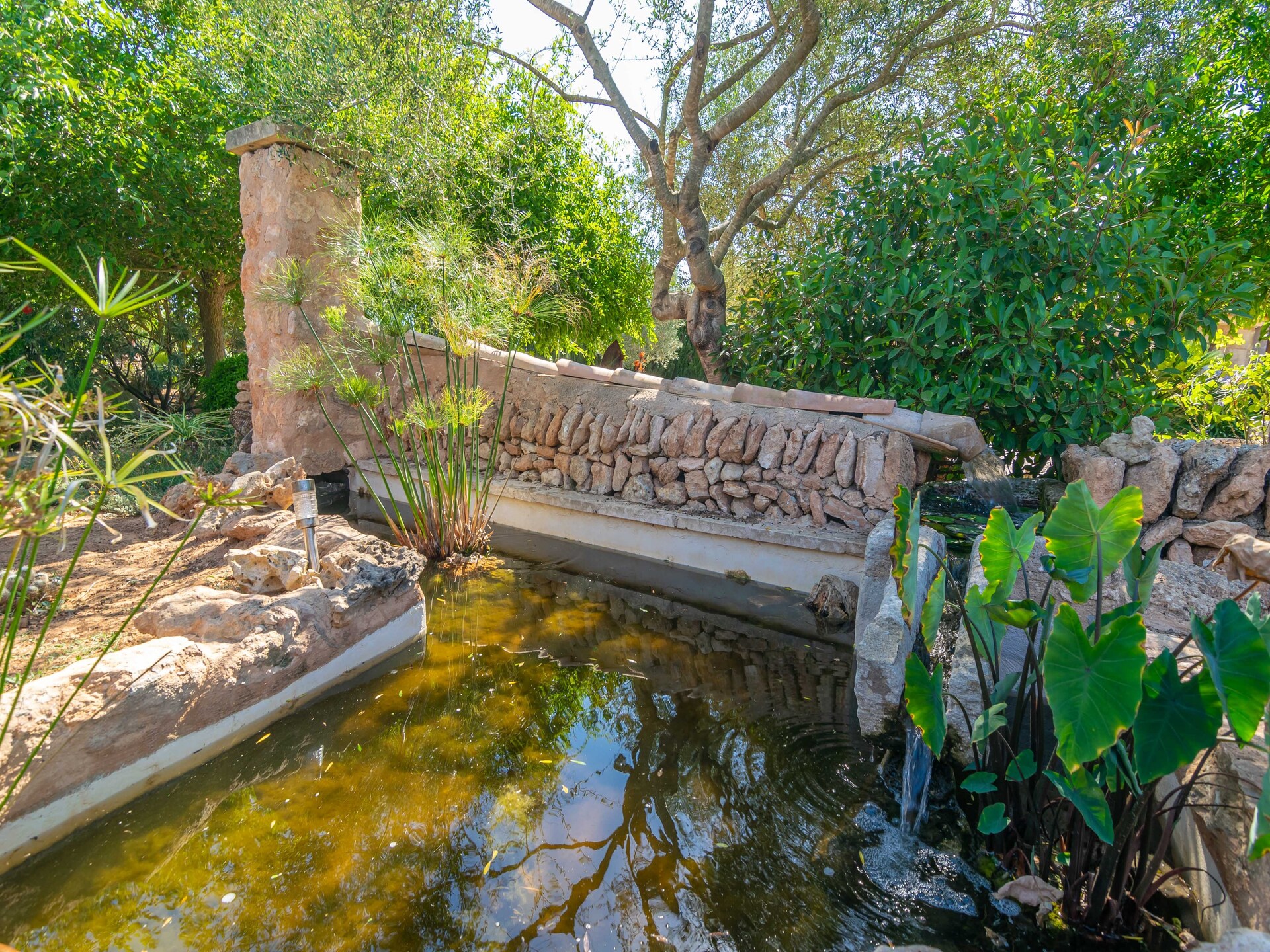 Glamping tent Lo D'en Creus in Campos, Mallorca – rustig aan de golfbaan - foto 32