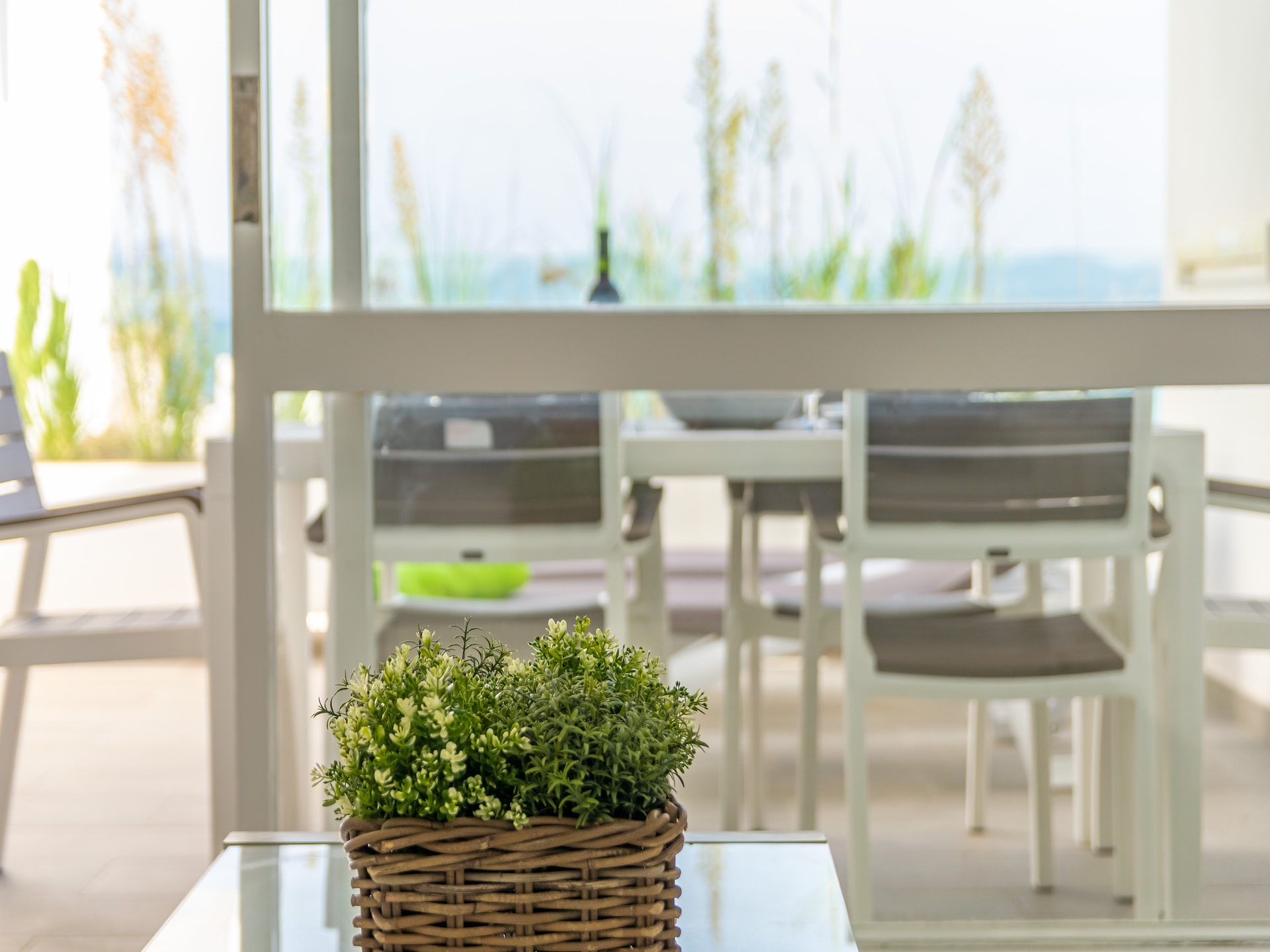 3-persoons appartement aan het strand in Port d'Alcúdia · 3 pers. - foto 11