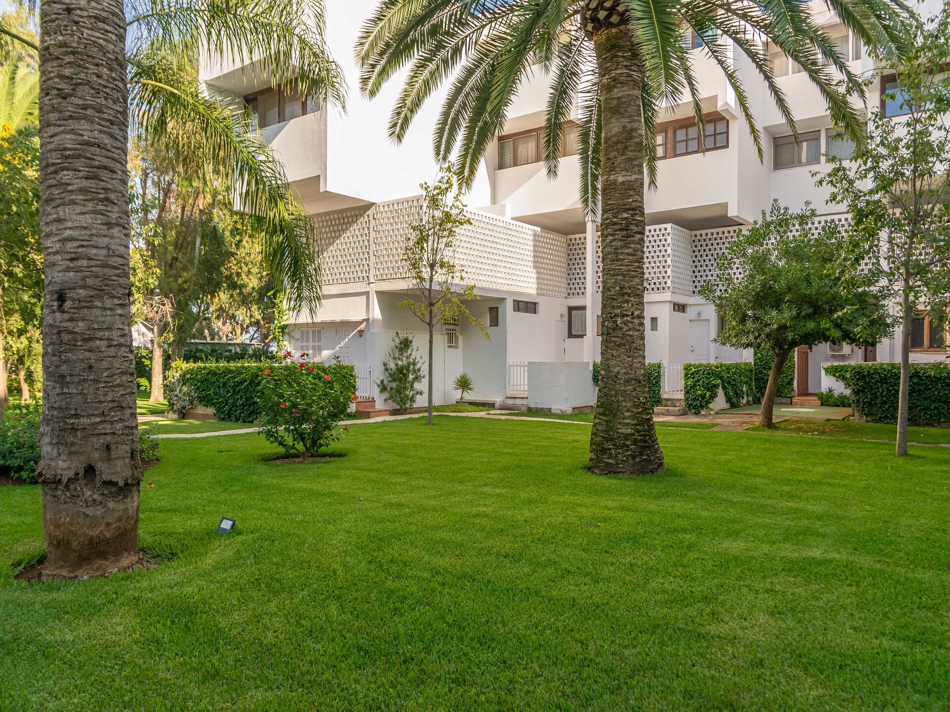 3-persoons appartement aan het strand in Port d'Alcúdia · 3 pers. - foto 30