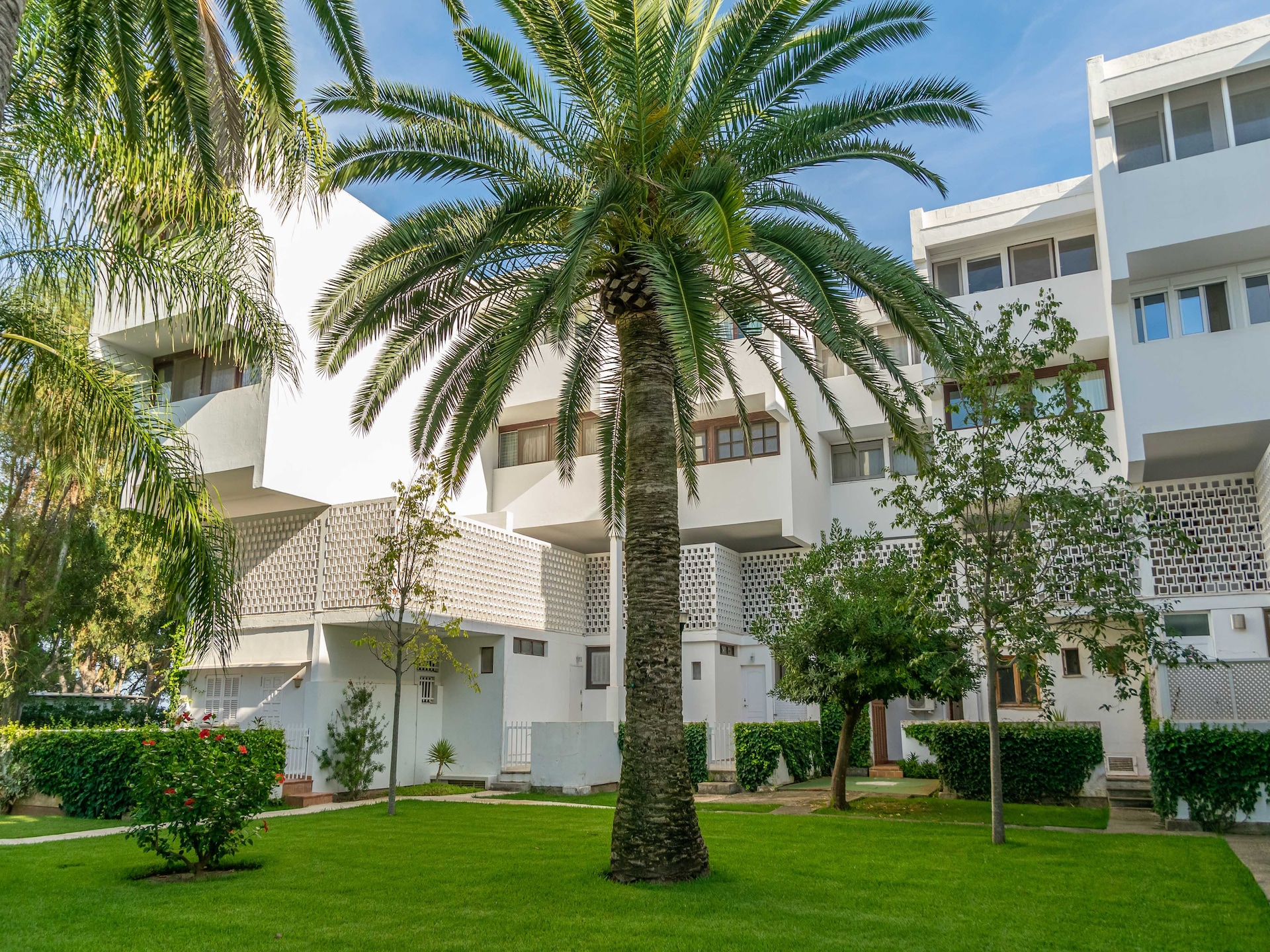 3-persoons appartement aan het strand in Port d'Alcúdia · 3 pers. - foto 31