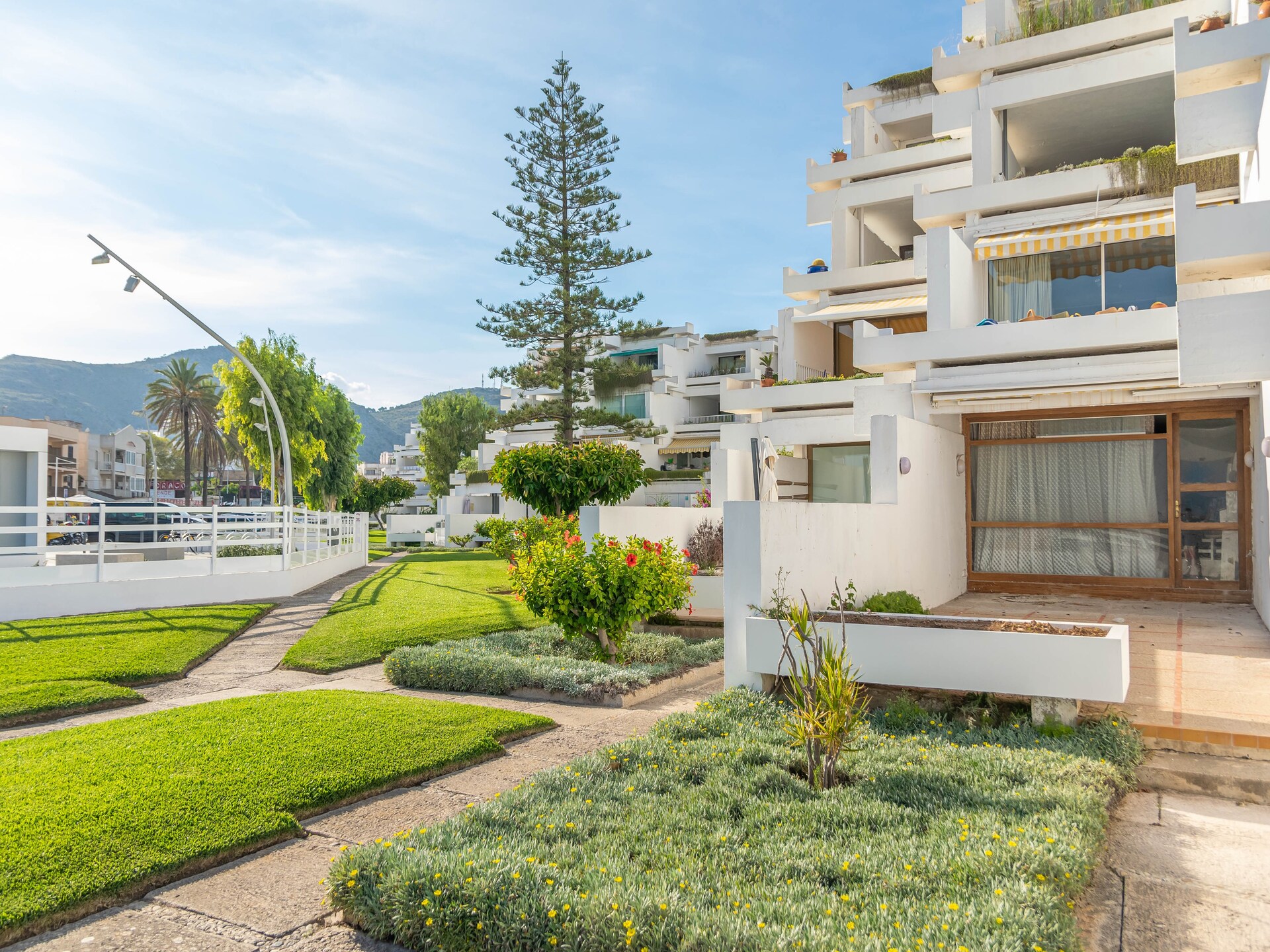 3-persoons appartement aan het strand in Port d'Alcúdia · 3 pers. - foto 33