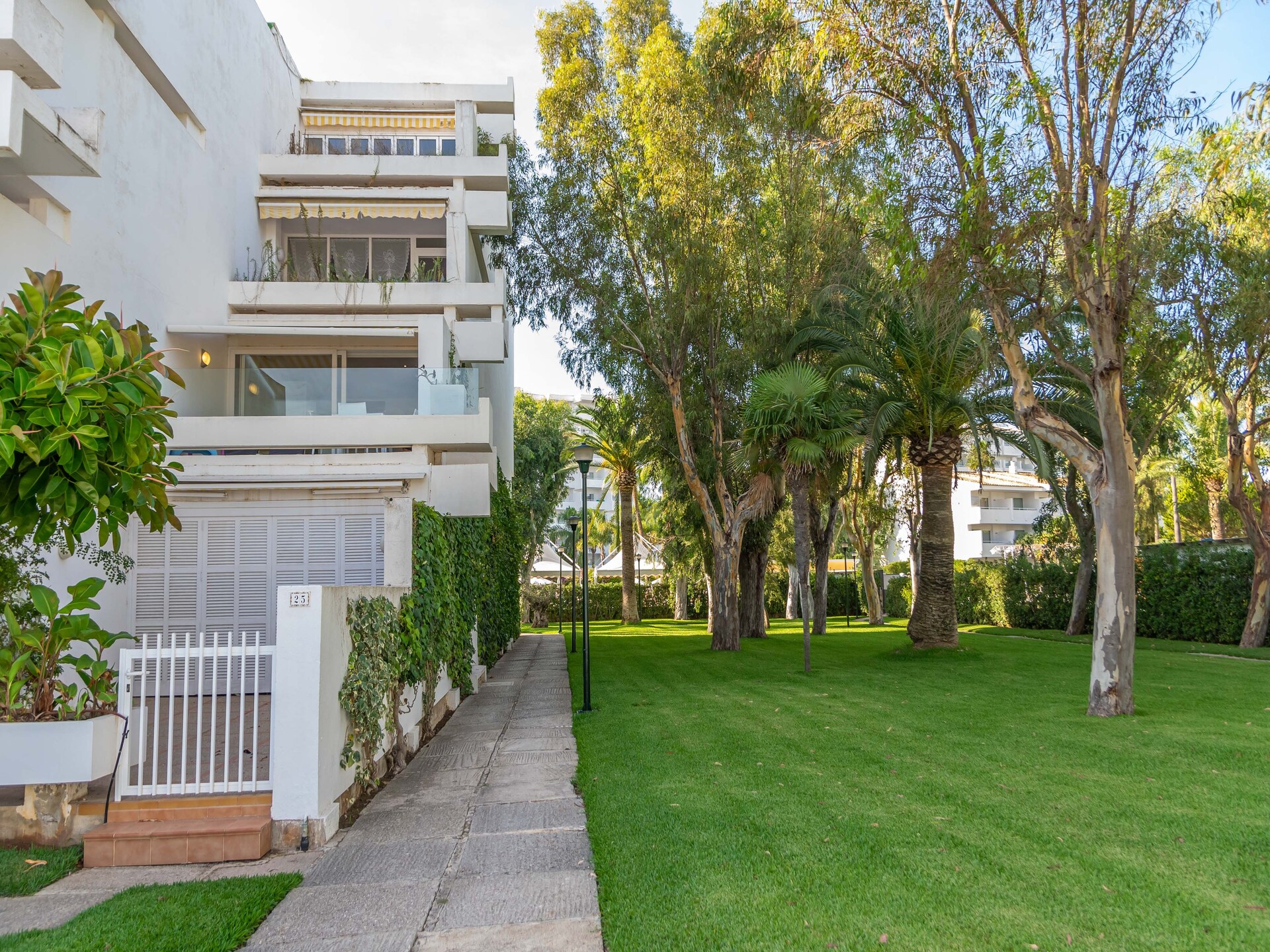 3-persoons appartement aan het strand in Port d'Alcúdia · 3 pers. - foto 37